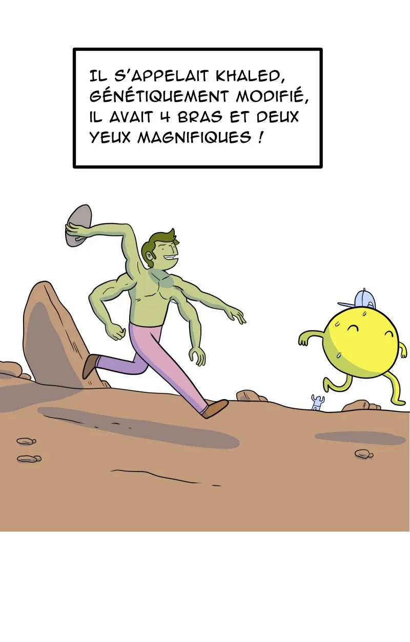 À Gauche Après Le Soleil - 19 - 67ec0a2f9f19f.webp