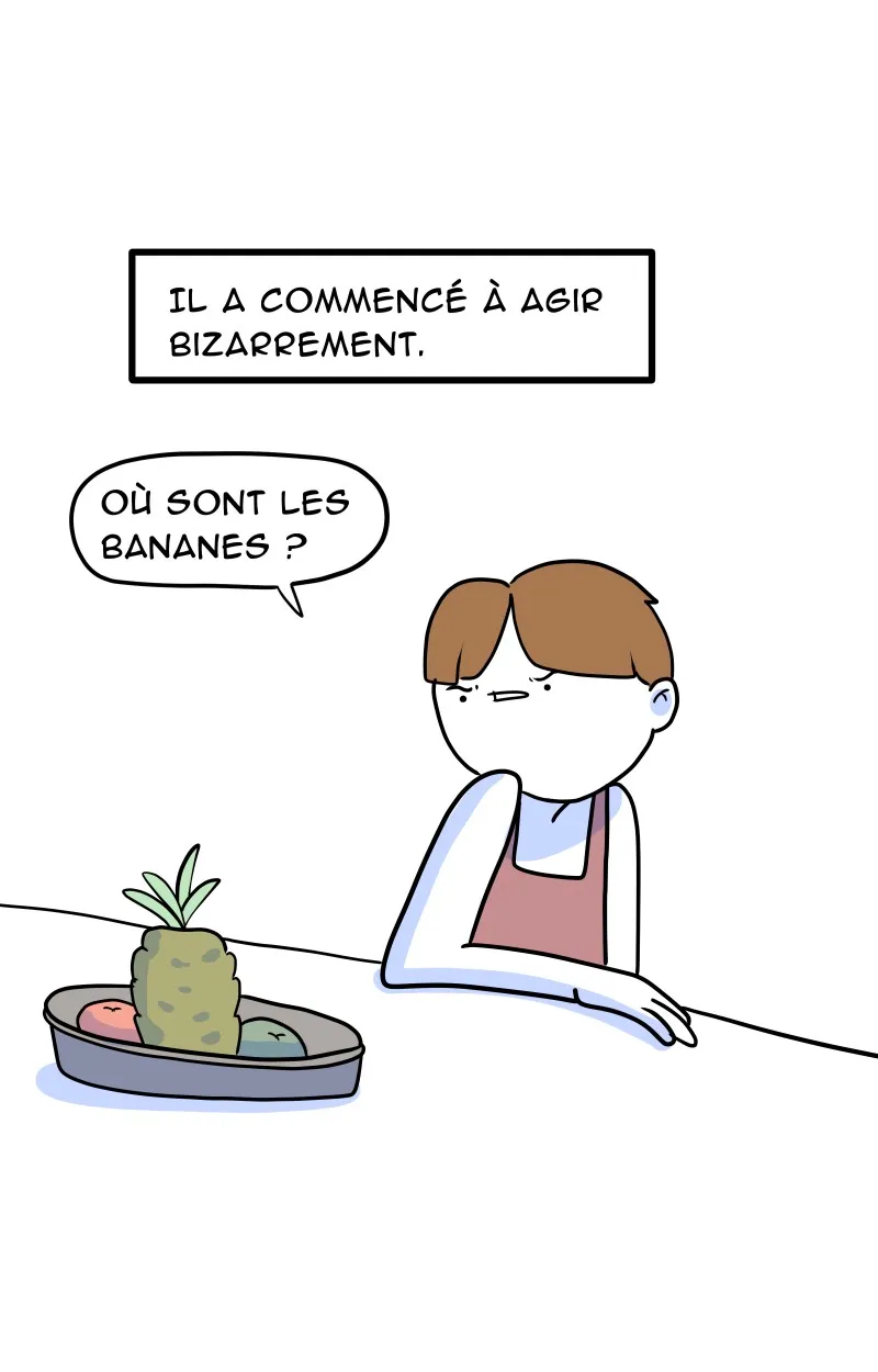 À Gauche Après Le Soleil - 22 - 67ec0a3710e5f.webp