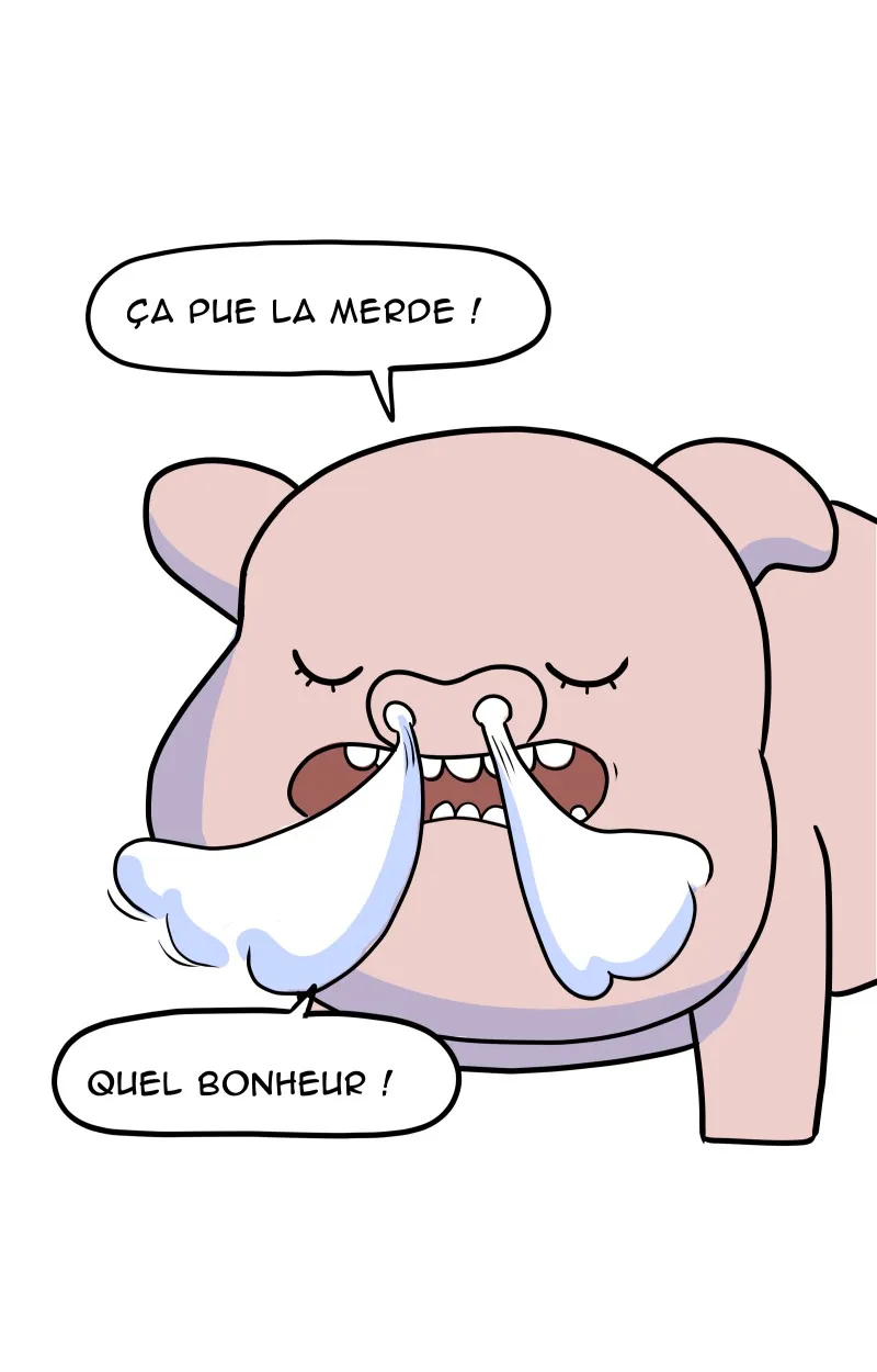 À Gauche Après Le Soleil - 27 - 67ec0a42ed6c2.webp