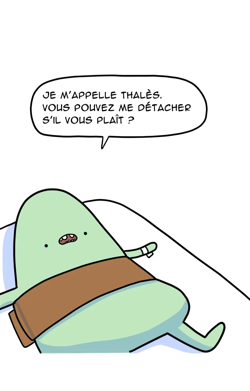 À Gauche Après Le Soleil - 30 - 67ec0a492a998.webp
