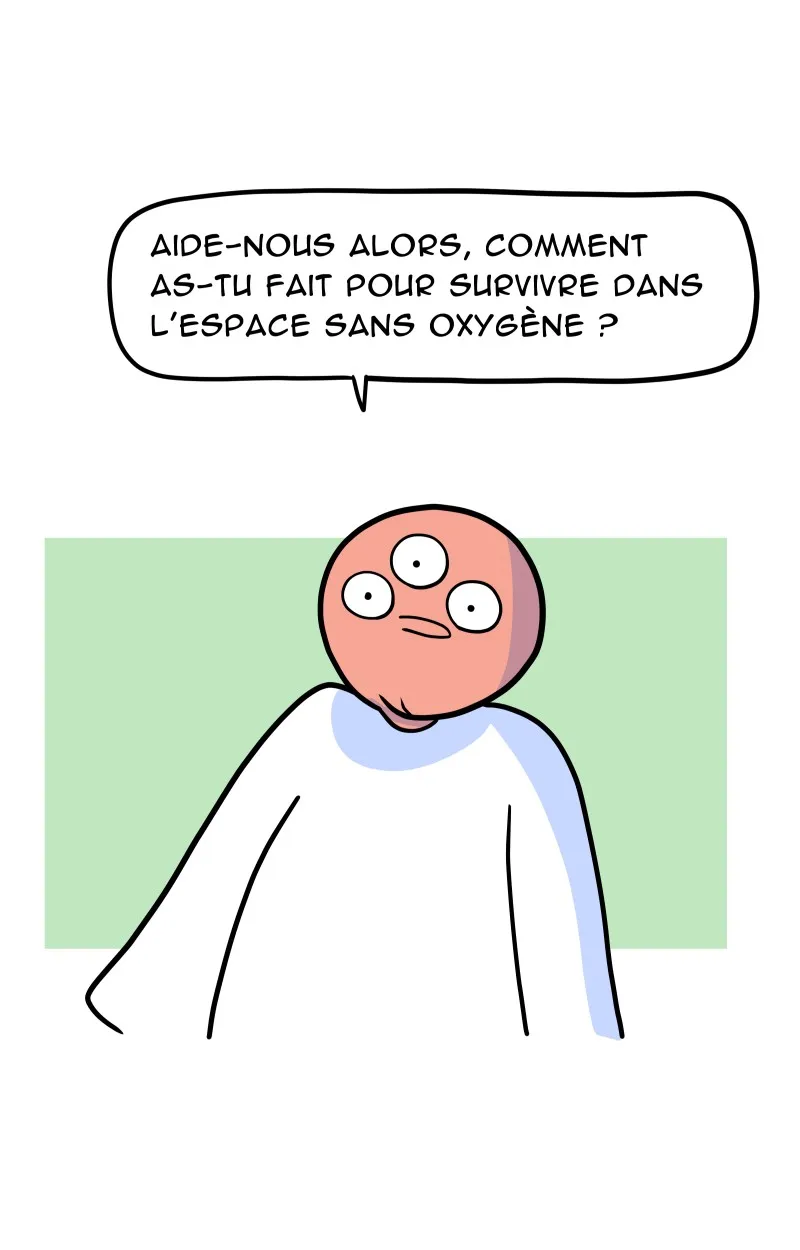 À Gauche Après Le Soleil - 31 - 67ec0a4a95d73.webp