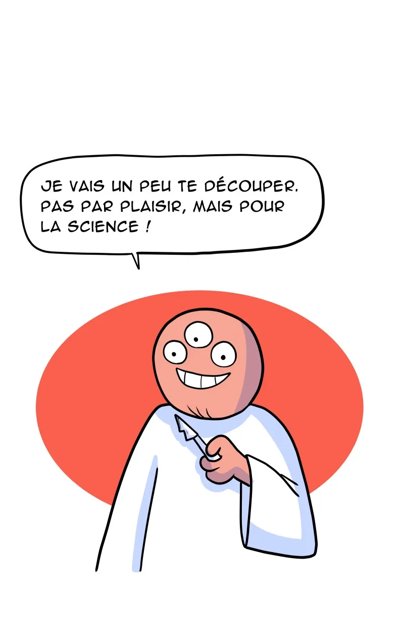 À Gauche Après Le Soleil - 31 - 67ec0a4bca172.webp
