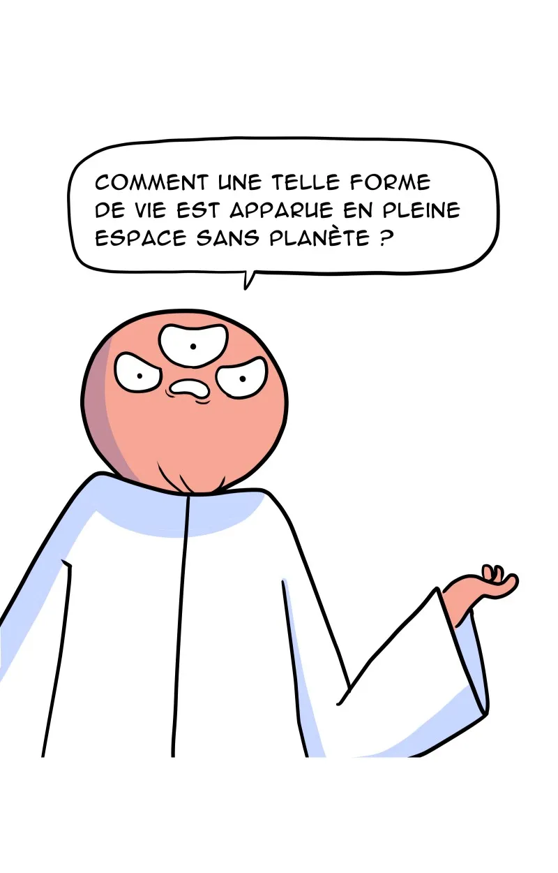 À Gauche Après Le Soleil - 32 - 67ec0a4ca943b.webp