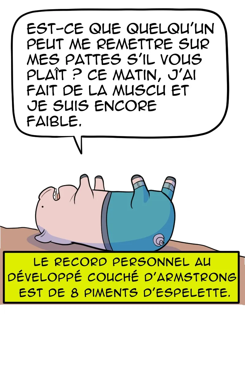 À Gauche Après Le Soleil - 5 - 67ec0a587dd2b.webp