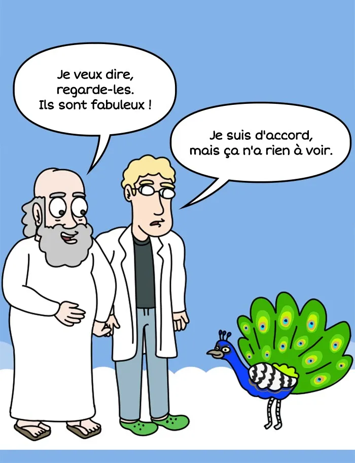 Adventure Of God - 540 - 67e9c24bb04ce.webp