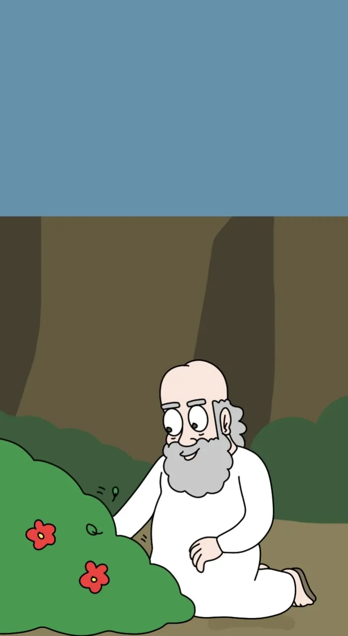 Adventure Of God - 621 - 67e9c2acf3aec.webp