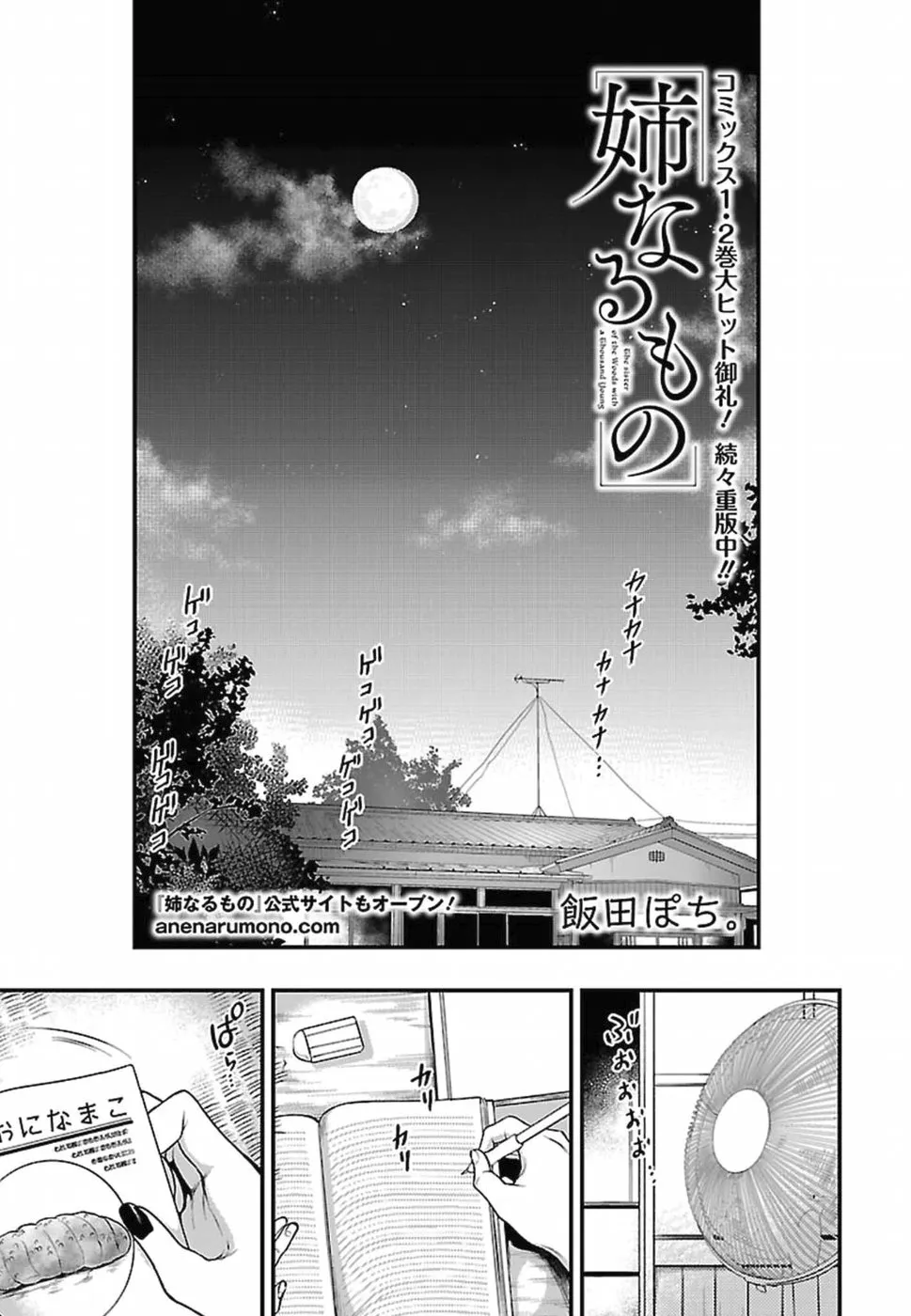 Ane Naru Mono - 14 - 67d79f2ed1a84.webp