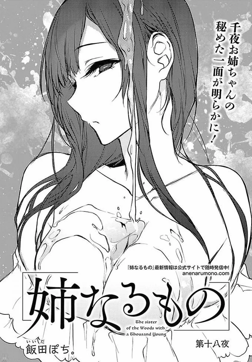 Ane Naru Mono - 18 - 67d79f3f2f167.webp