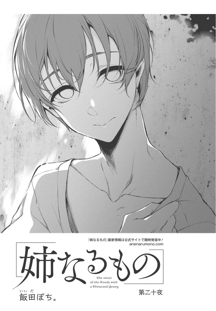 Ane Naru Mono - 20 - 67d79f4ae4ebd.webp