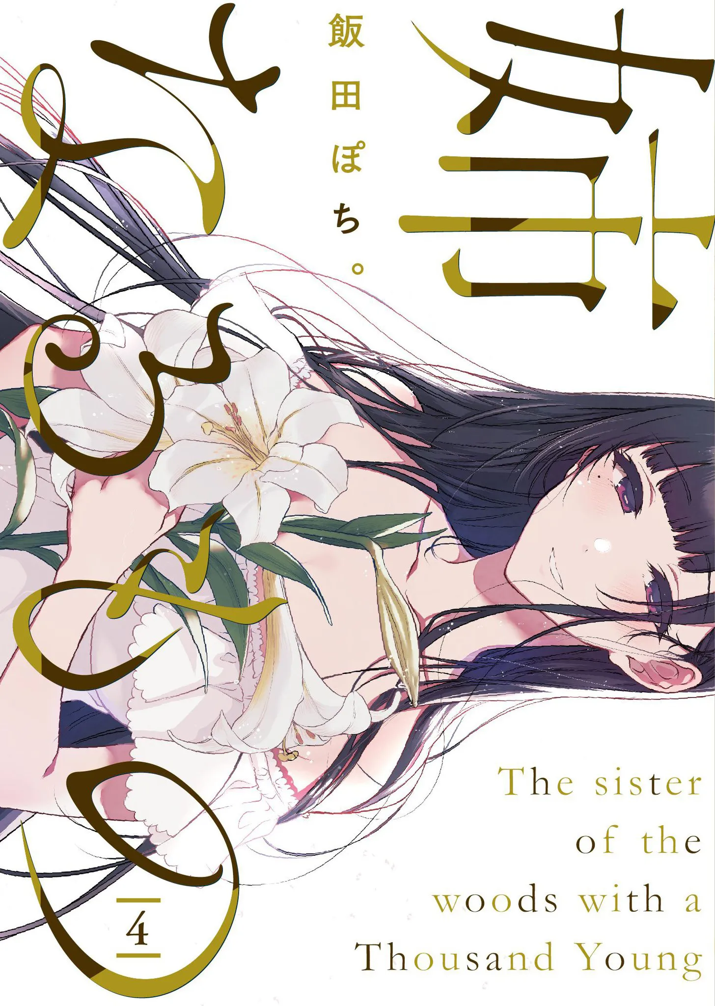Ane Naru Mono - 22 - 67d79f53de38a.webp