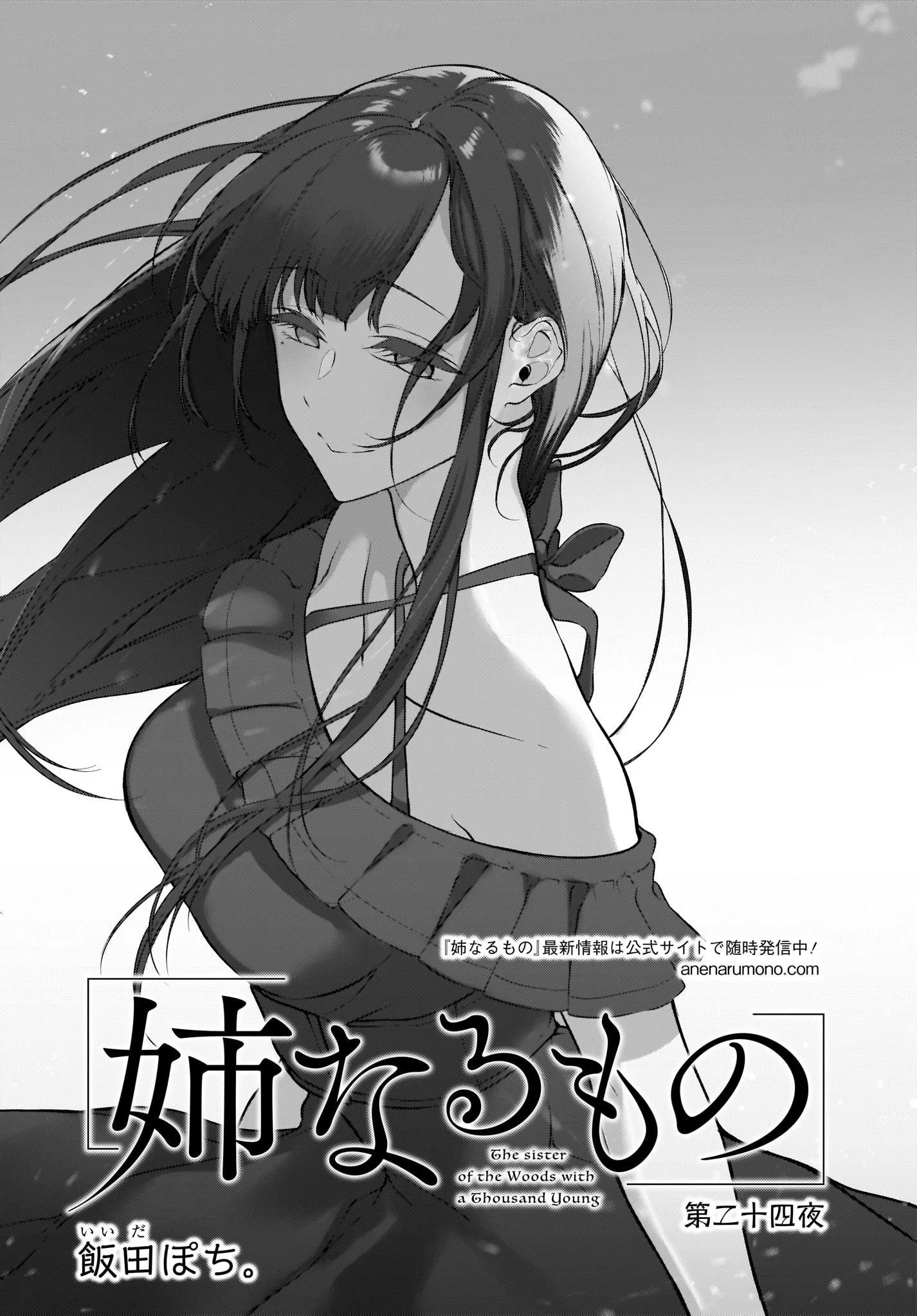 Ane Naru Mono - 24 - 67d79f5bf3750.webp