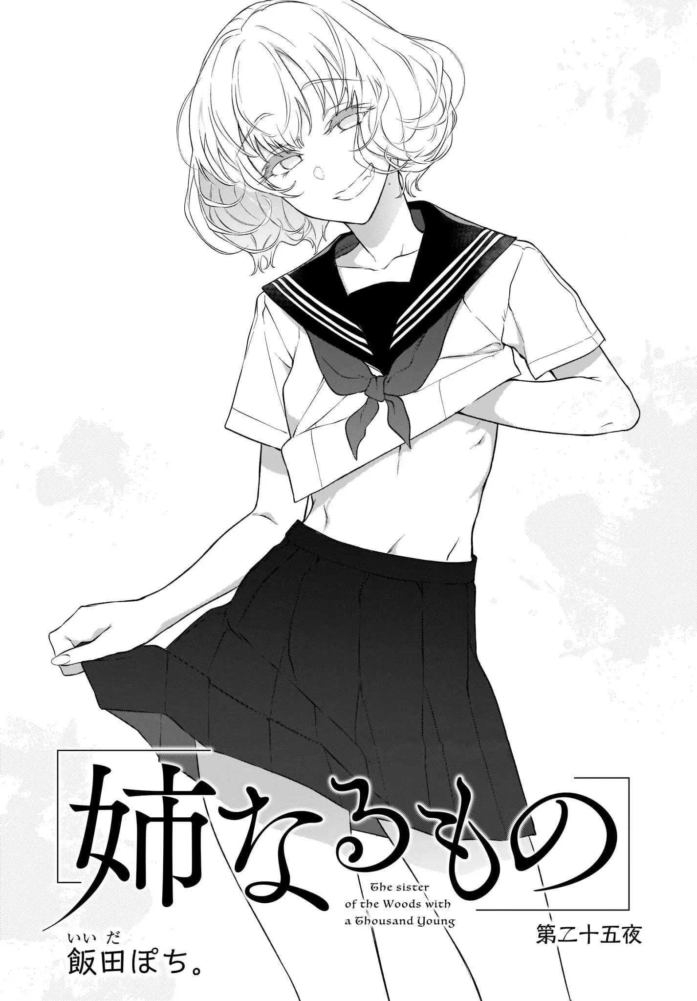 Ane Naru Mono - 25 - 67d79f63e13ad.webp