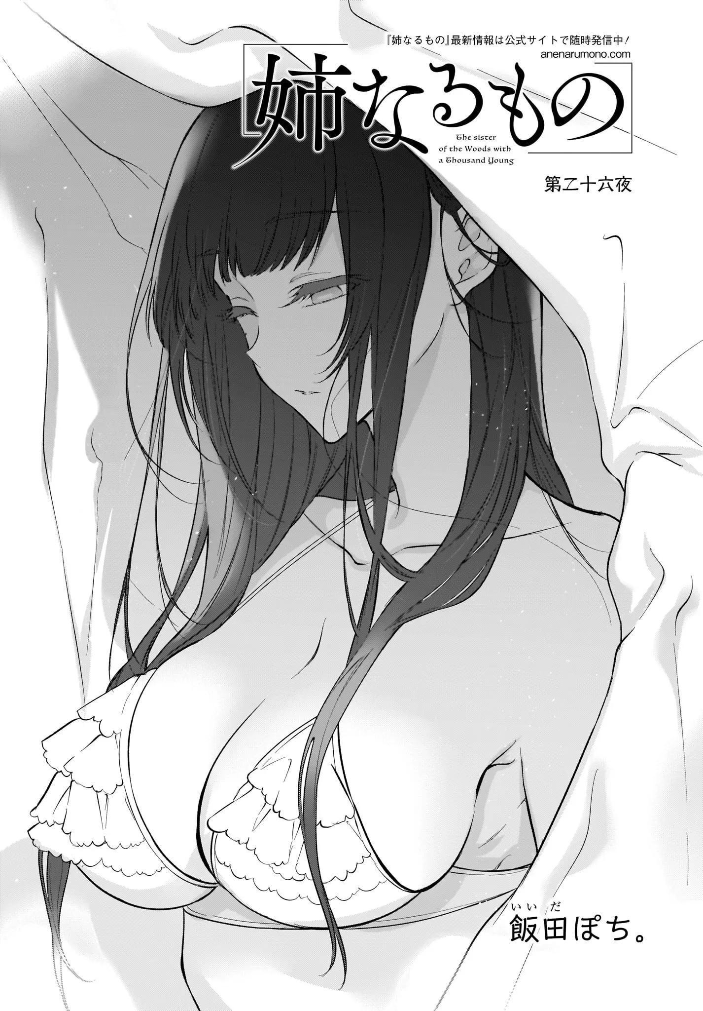 Ane Naru Mono - 26 - 67d79f6aa5e94.webp