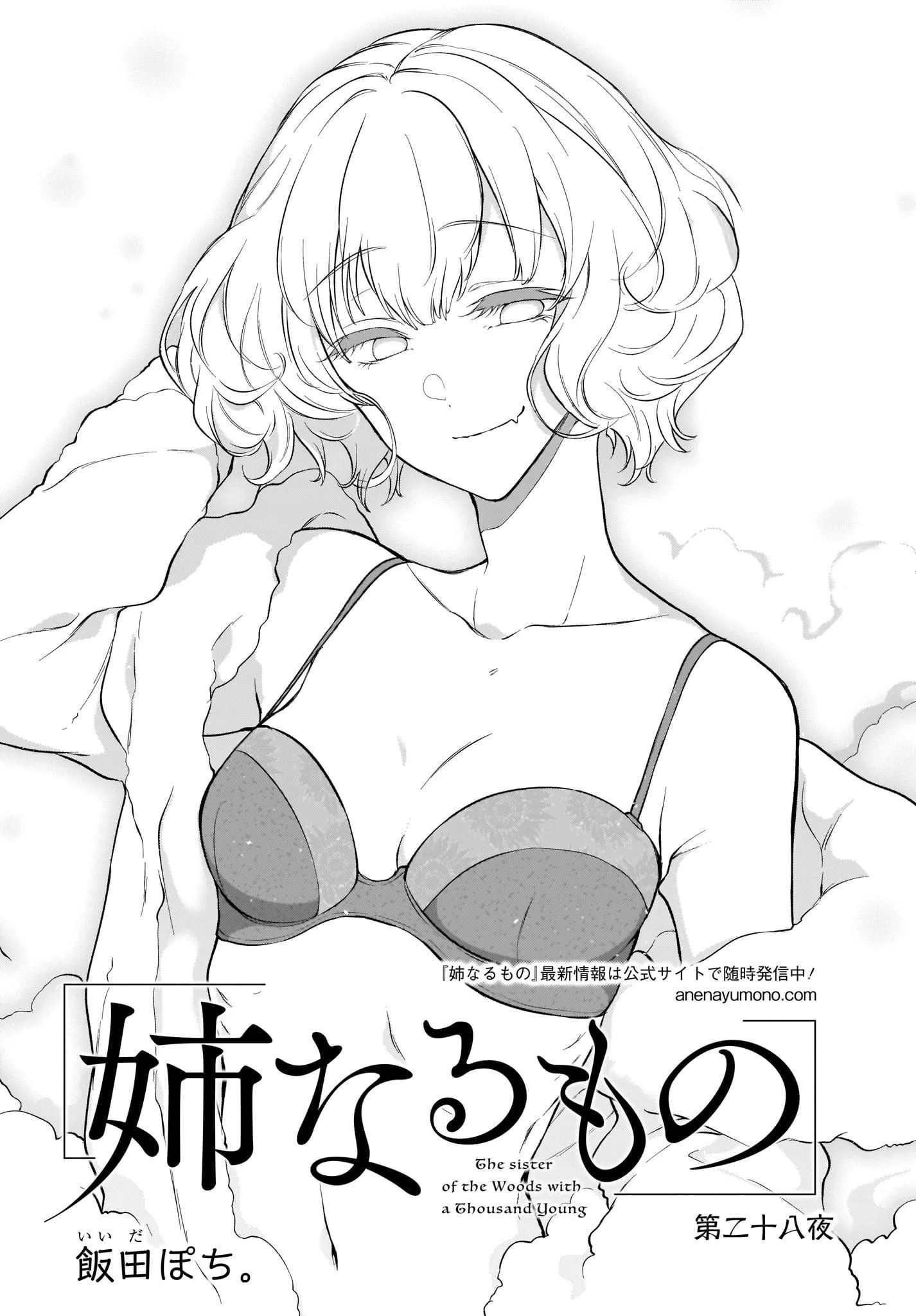 Ane Naru Mono - 28 - 67d79f775af0a.webp
