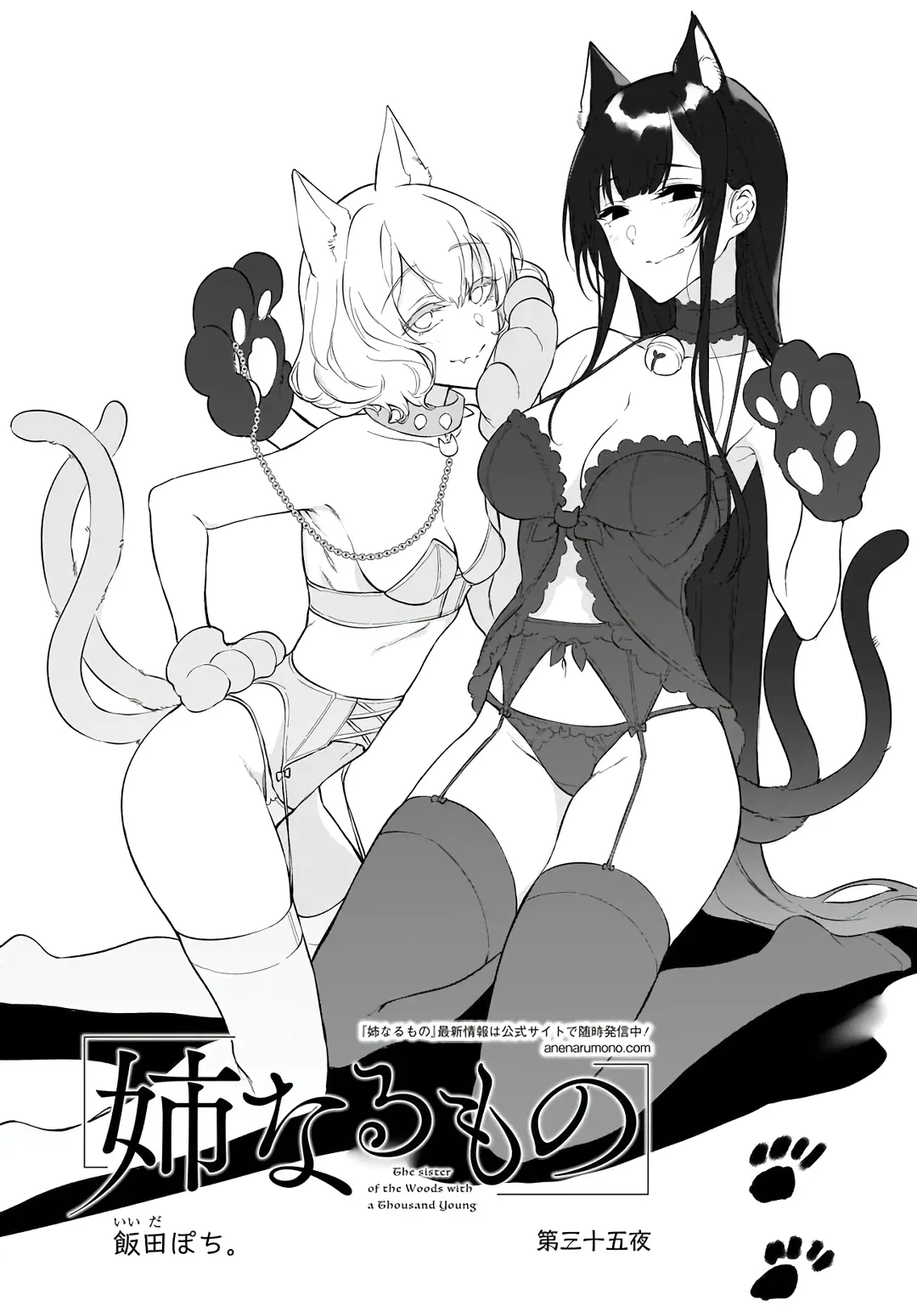 Ane Naru Mono - 35 - 67d79fa5664b7.webp