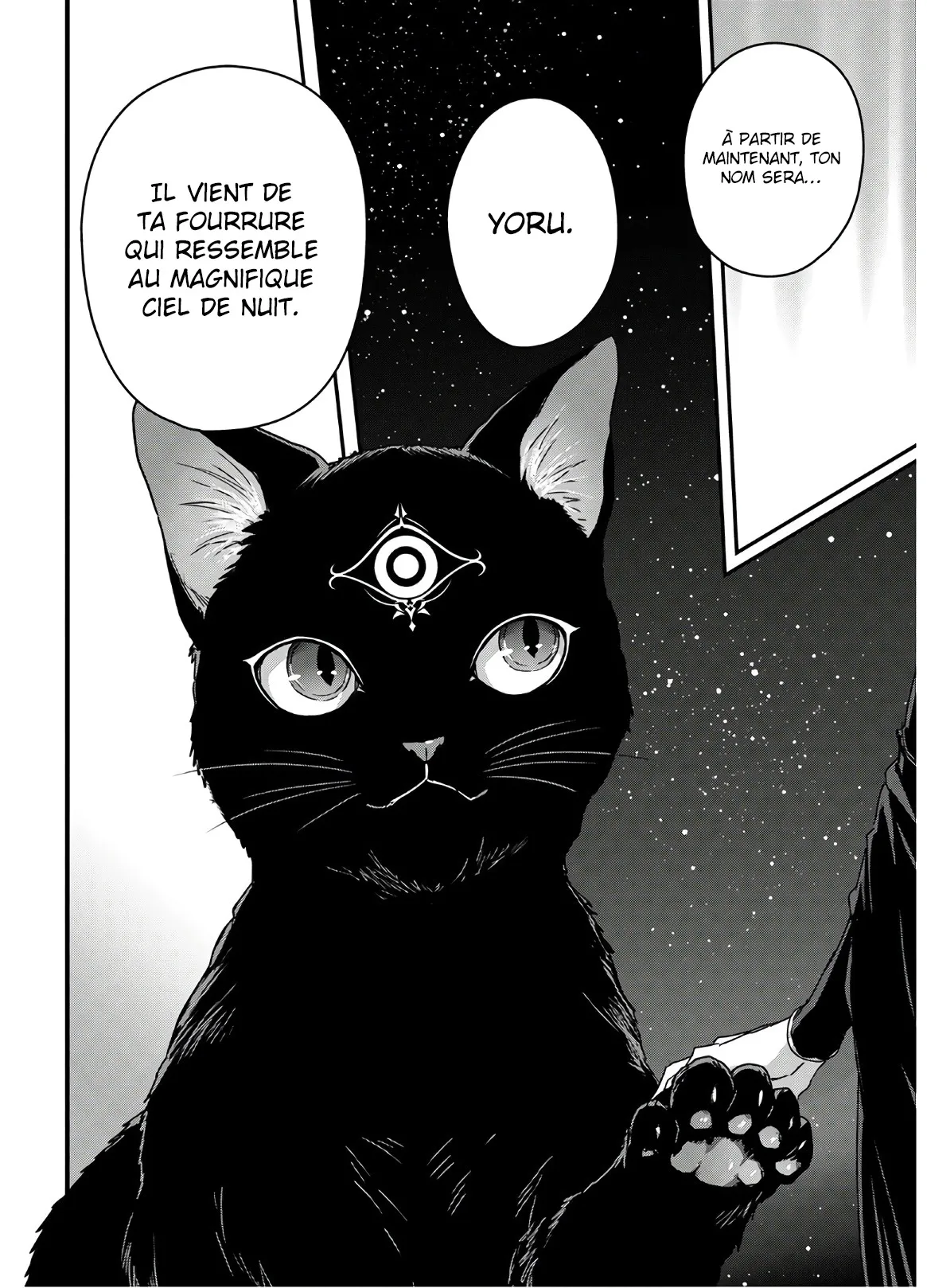 Assassin De Aru Ore No Sutetasu Ga Yuusha Yori Mo Akiraka Ni Tsuyoi Nodaga - 11 - 65ef929a8ea9a.webp