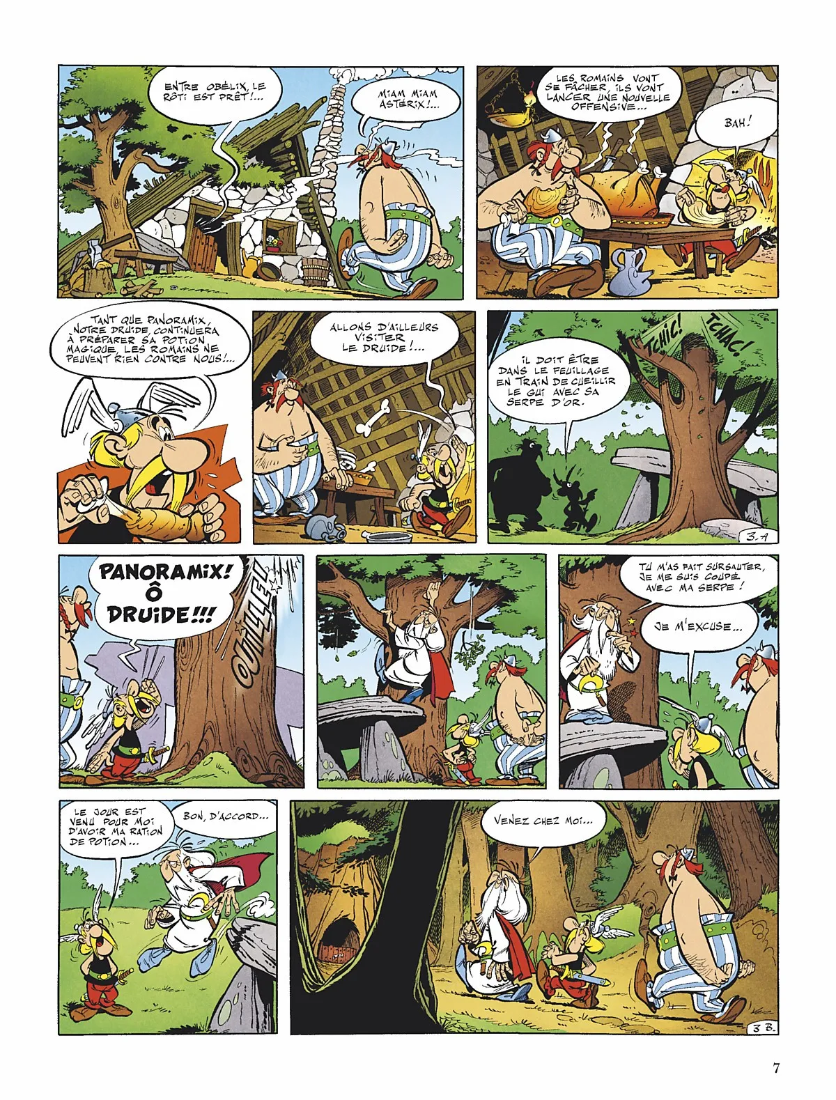 Asterix - 1 - 65d65f013f17d.webp