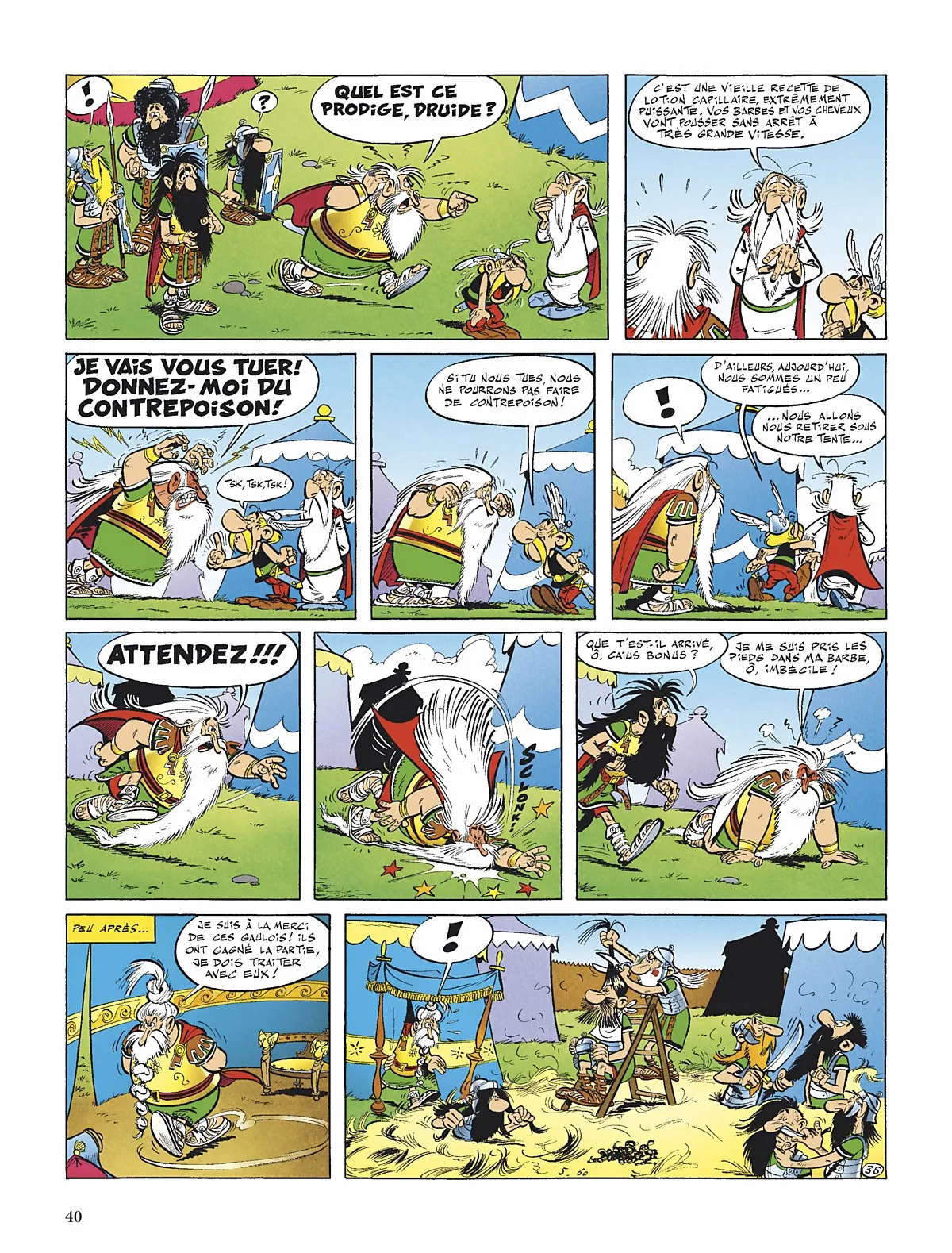 Asterix - 1 - 65d65f0fdffc4.webp