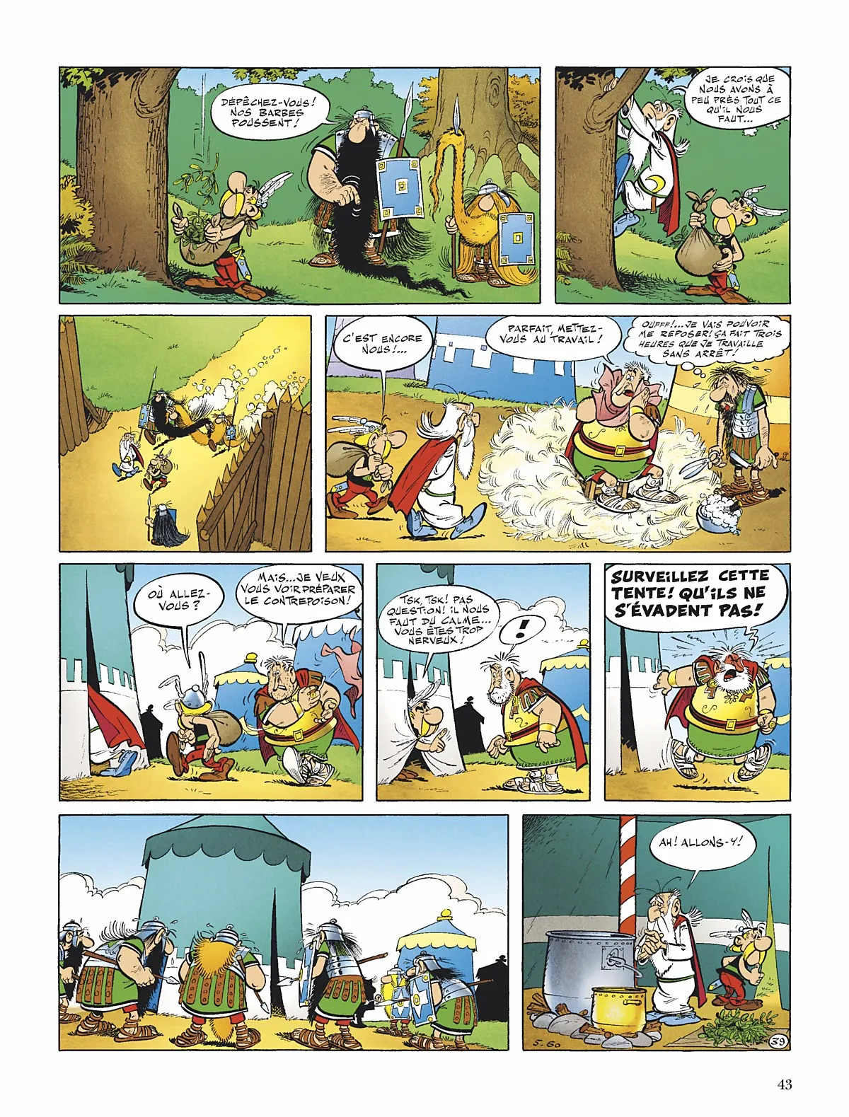 Asterix - 1 - 65d65f1124b67.webp