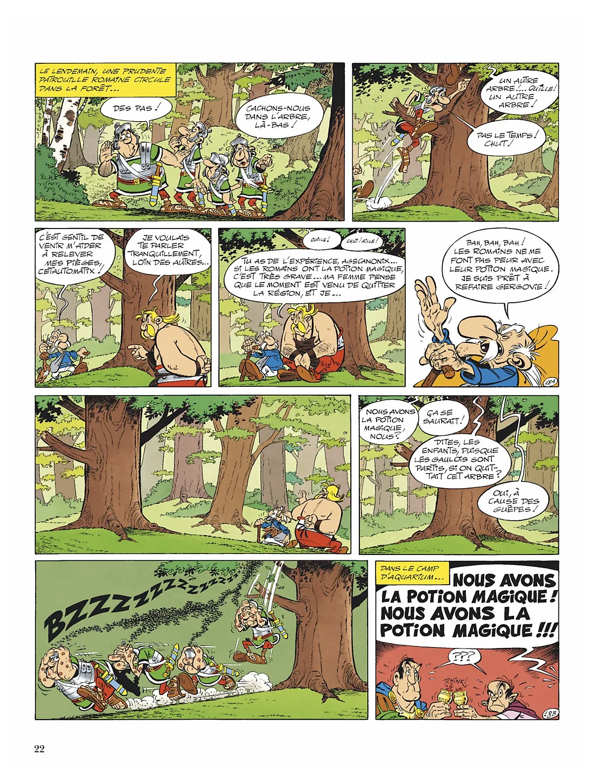 Asterix - 15 - 65d662f3841df.webp