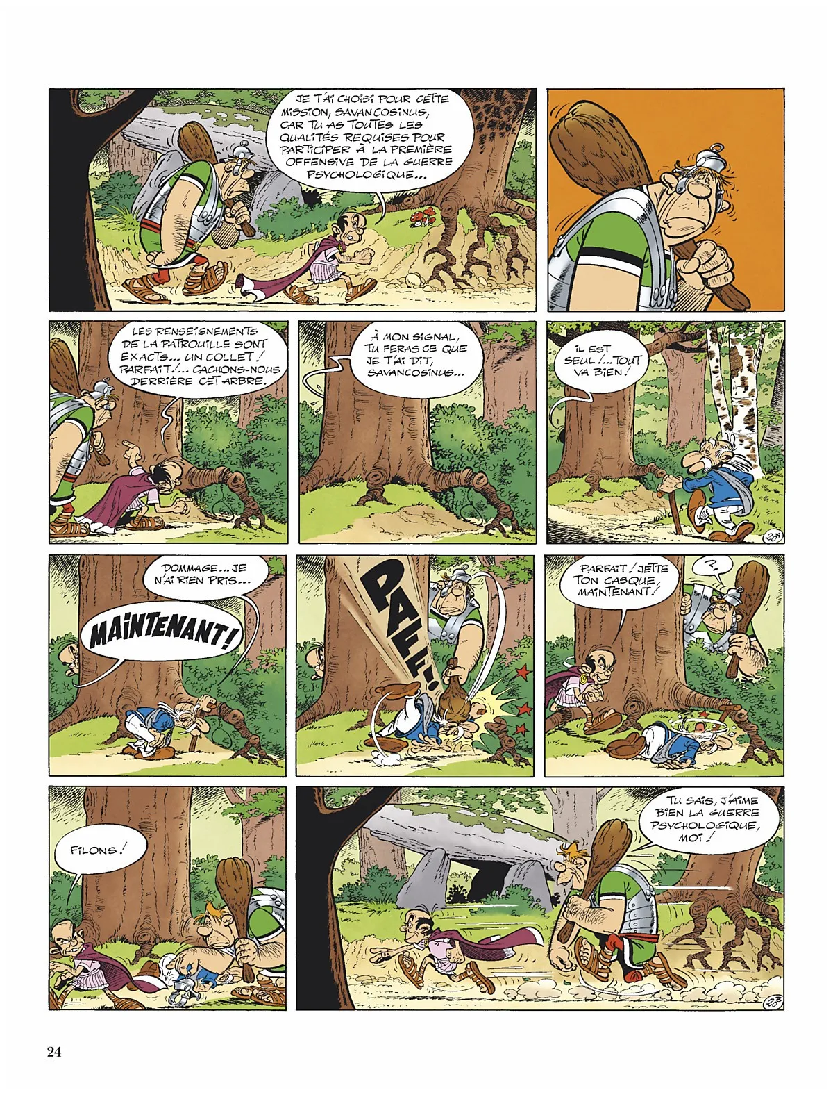 Asterix - 15 - 65d662f46ce03.webp