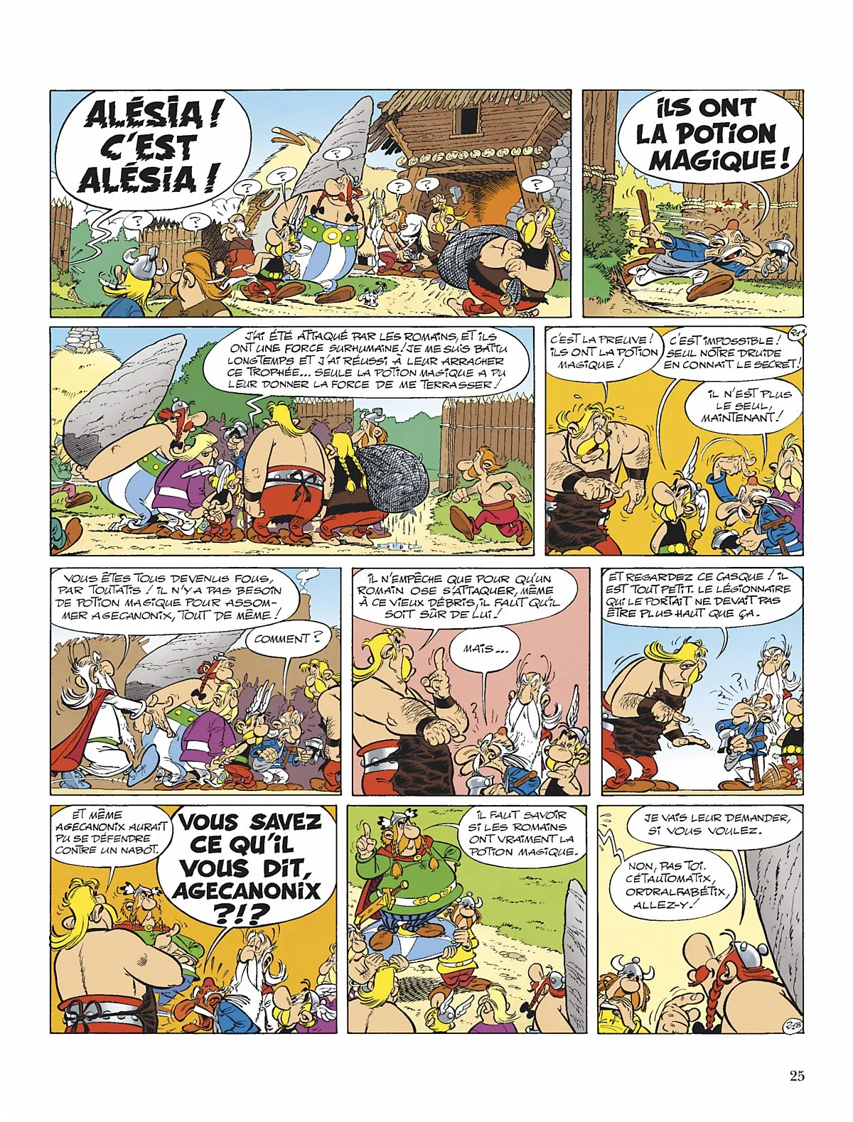 Asterix - 15 - 65d662f4d4348.webp