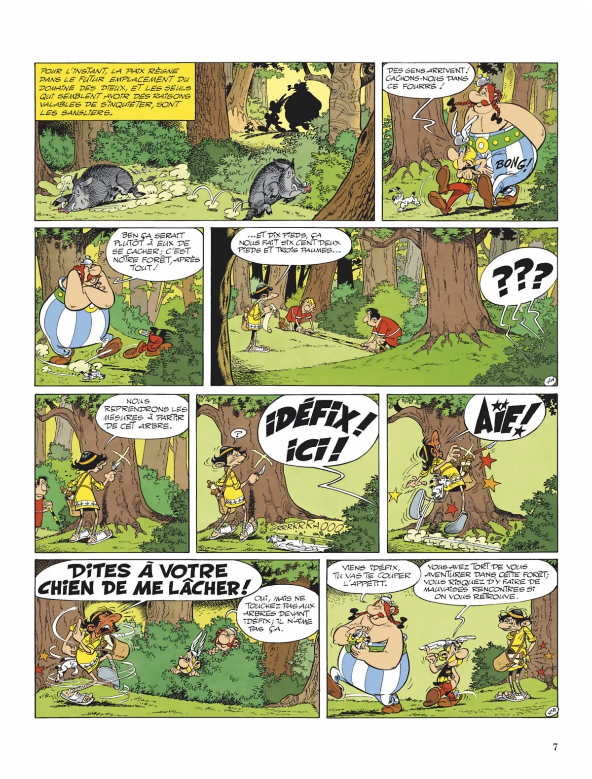Asterix - 17 - 65d6631729a0e.webp