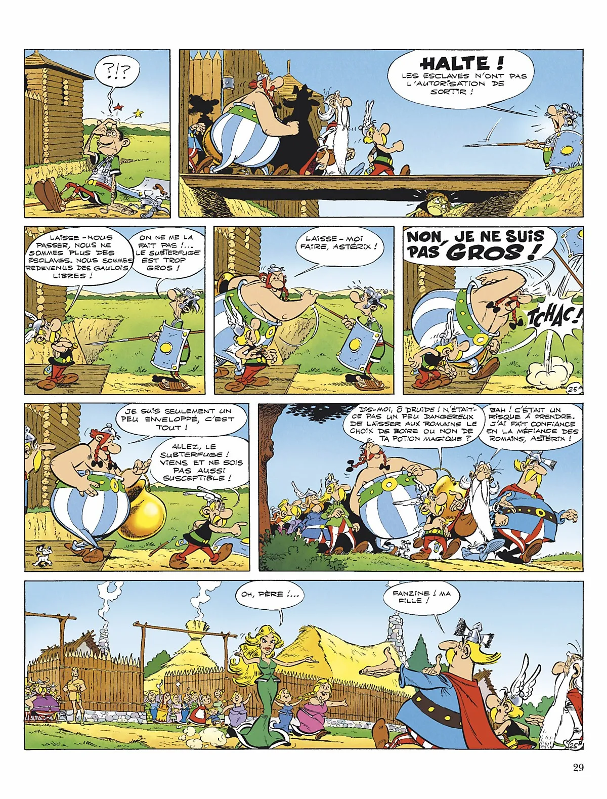 Asterix - 25 - 65d669d0972d4.webp