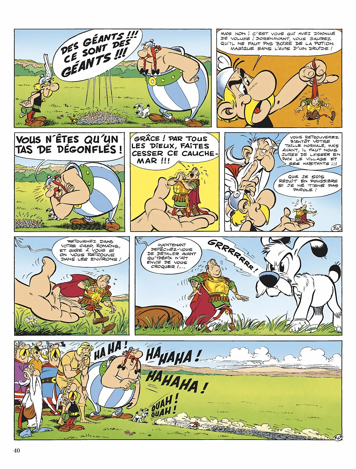 Asterix - 25 - 65d669d6659ea.webp