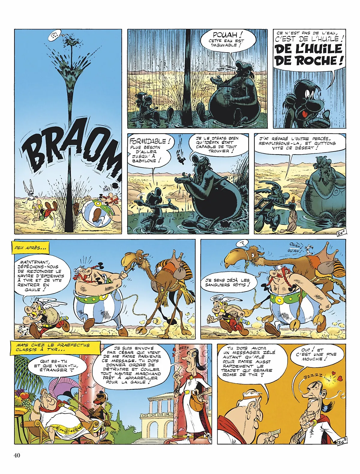 Asterix - 26 - 65d669ef4511d.webp