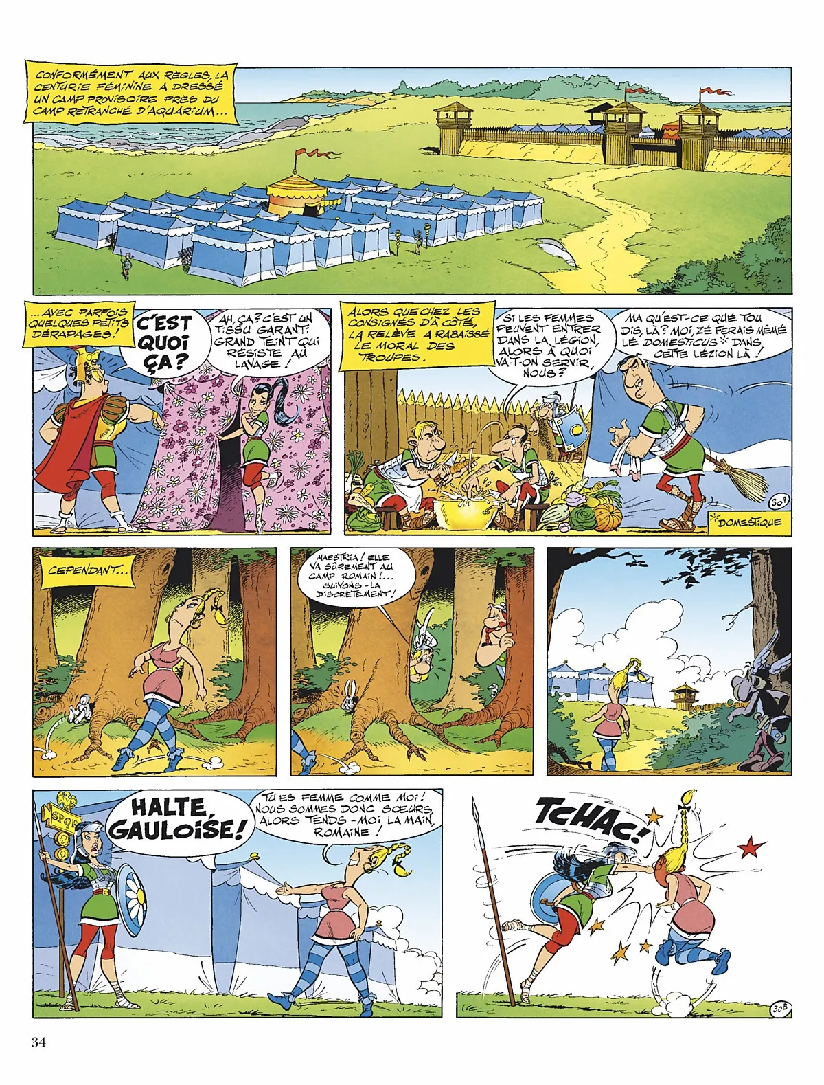 Asterix - 29 - 65d66a374cd27.webp