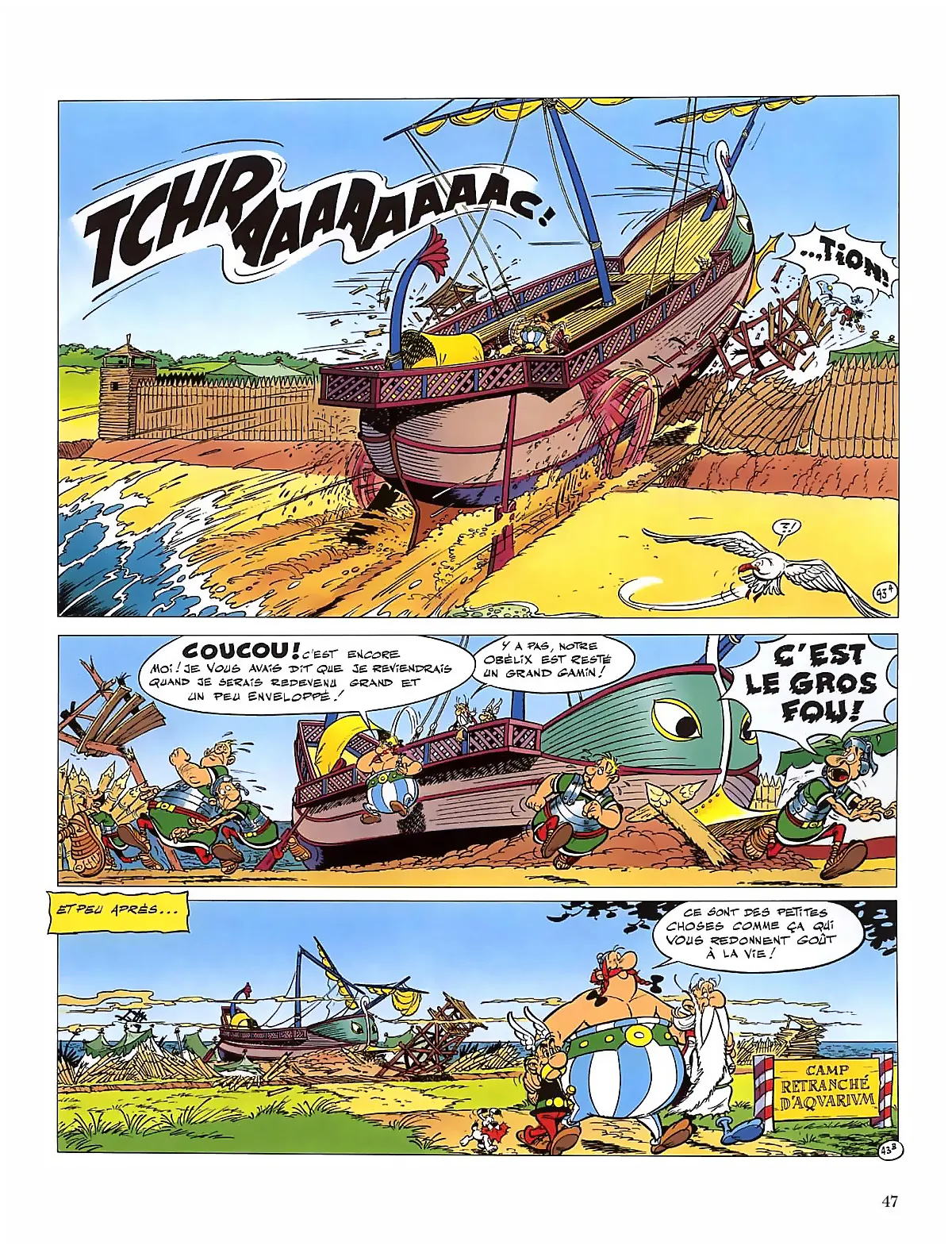 Asterix - 30 - 65d66a586fe6f.webp