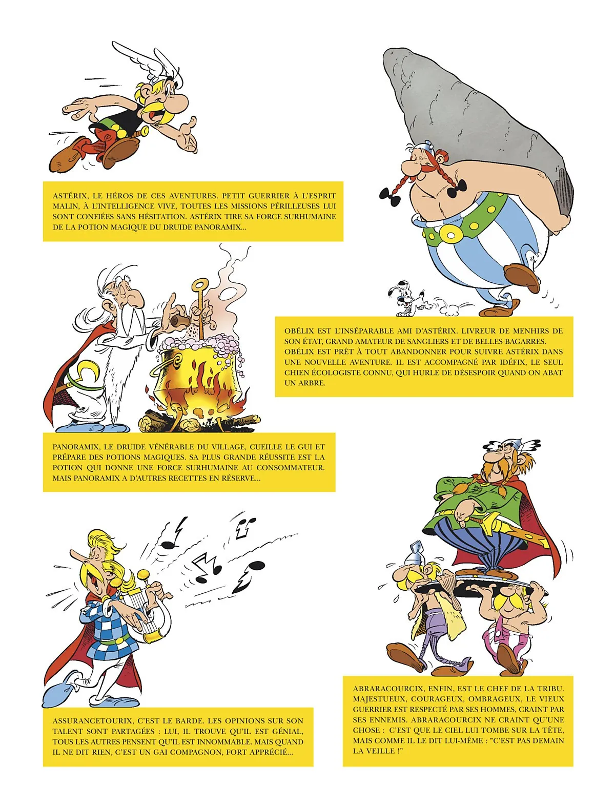 Asterix - 31 - 65d677ae155f1.webp