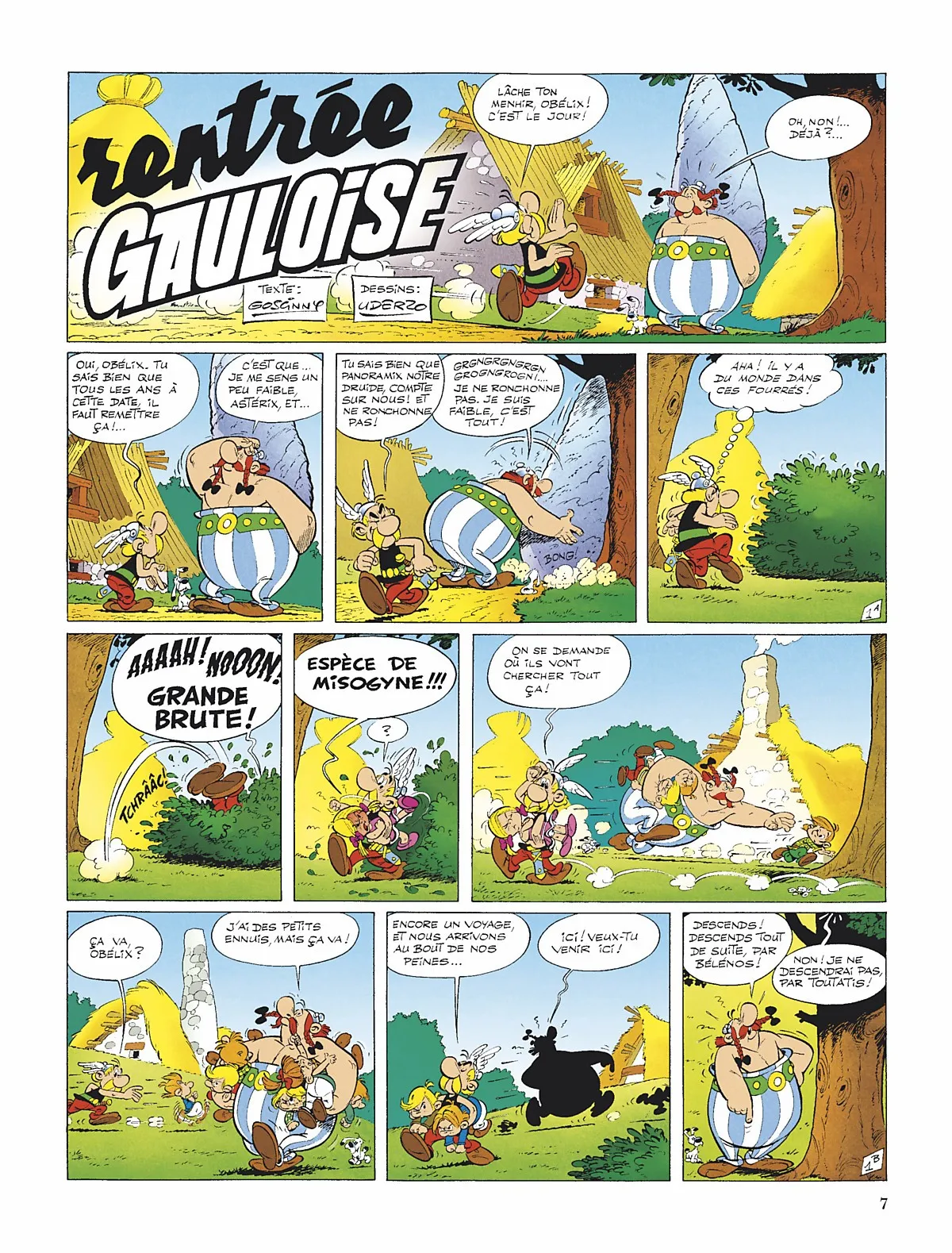 Asterix - 32 - 65d677c888dc2.webp