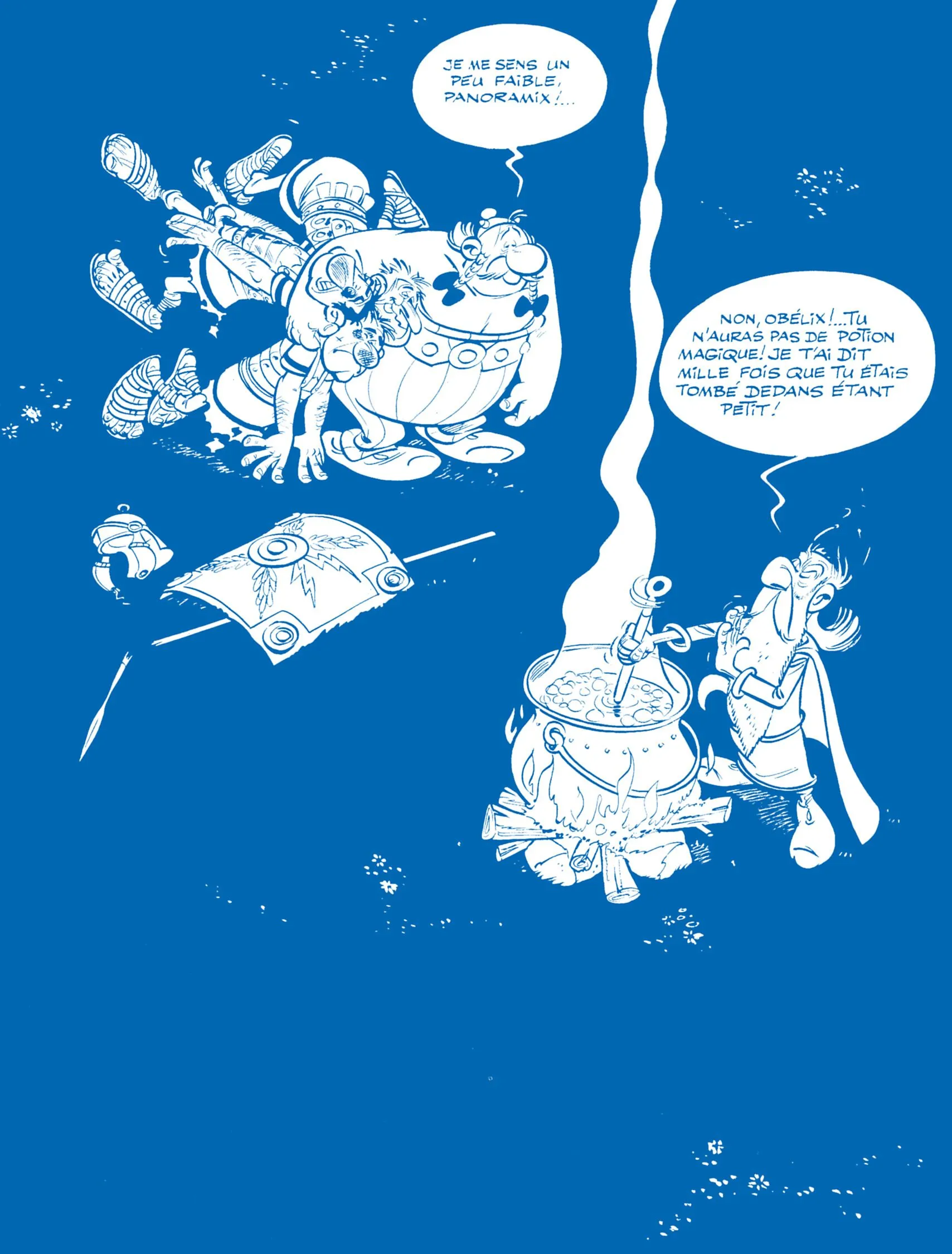 Asterix - 40 - 65d672f1cfd9a.webp