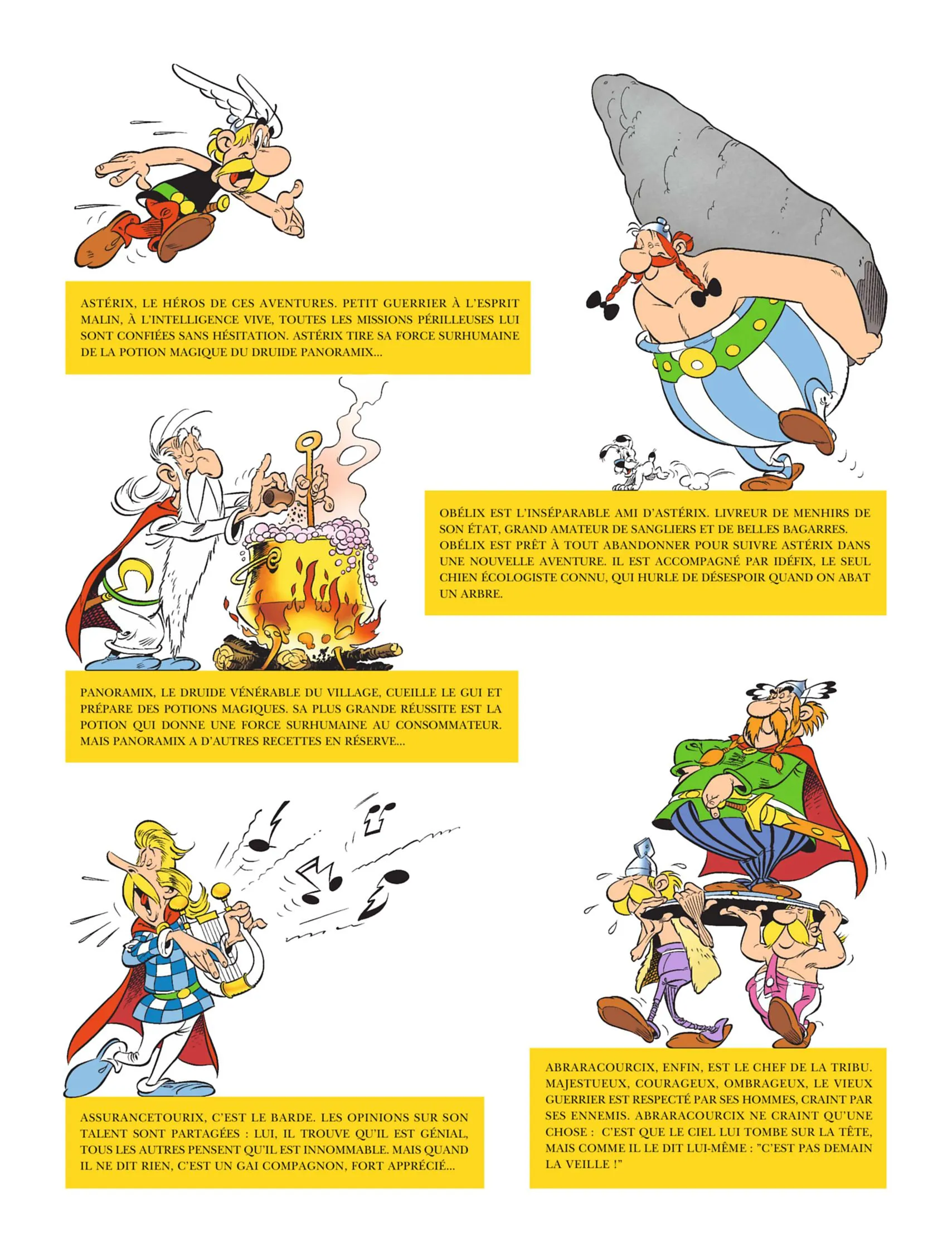 Asterix - 40 - 65d672f371823.webp