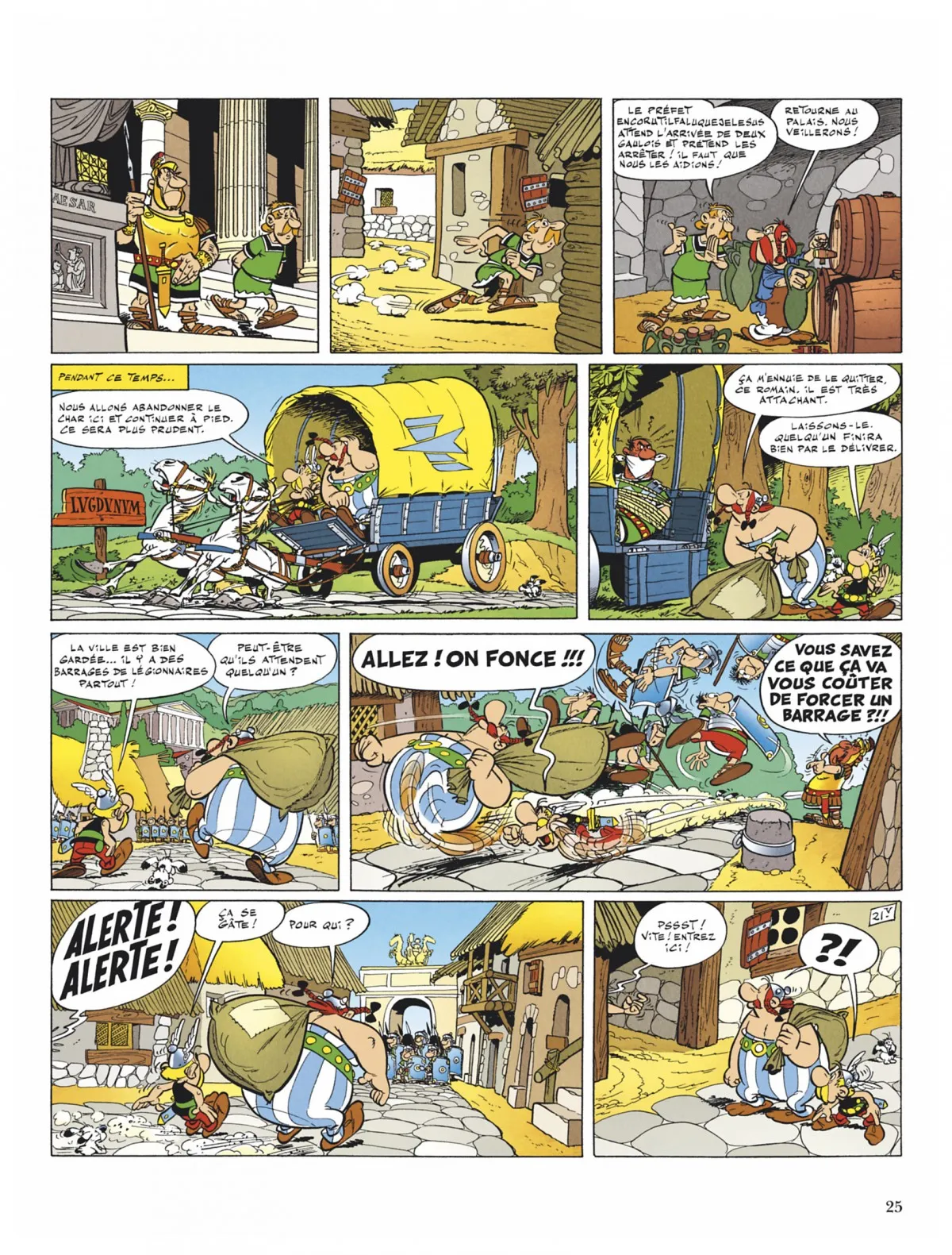 Asterix - 5 - 65d65f72175d6.webp