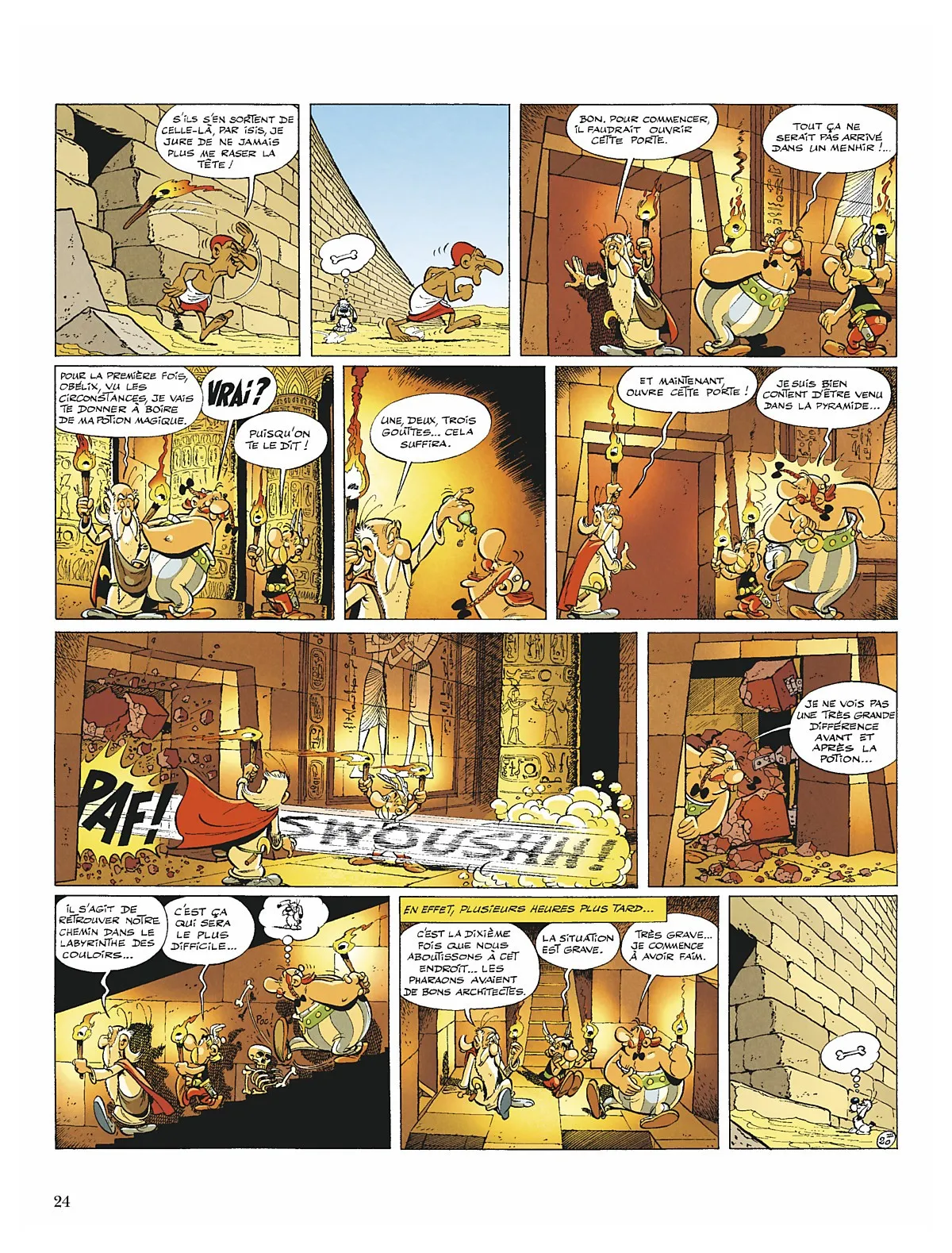 Asterix - 6 - 65d65f8a4441b.webp