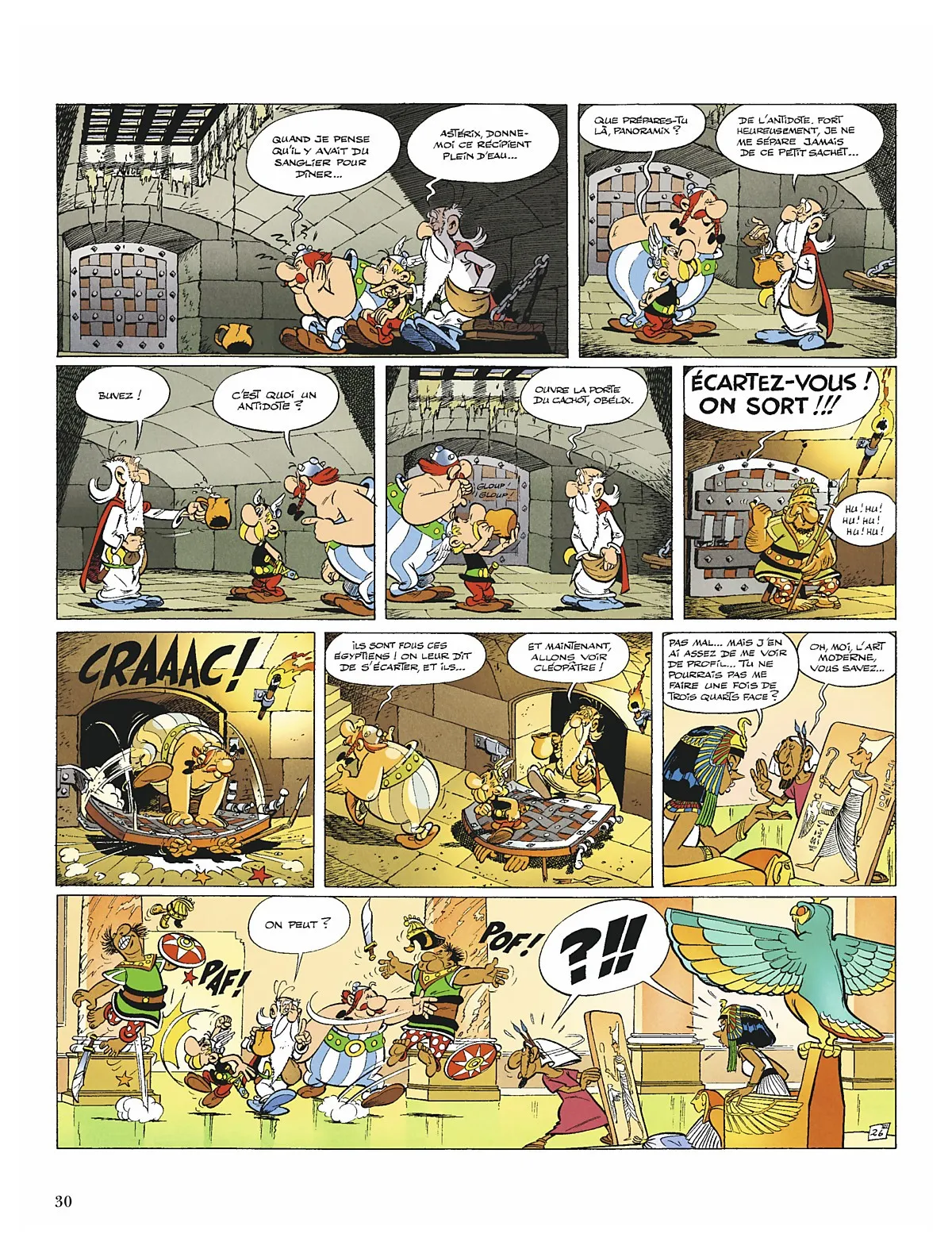 Asterix - 6 - 65d65f8cc445c.webp