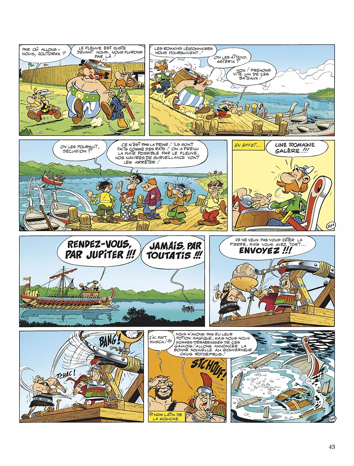 Asterix - 8 - 65d65fbaa273c.webp