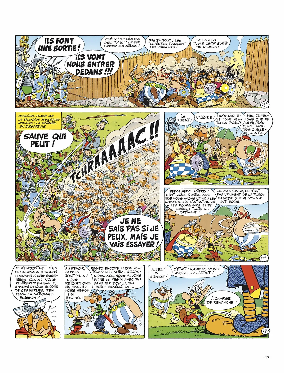 Asterix - 8 - 65d65fbc659db.webp