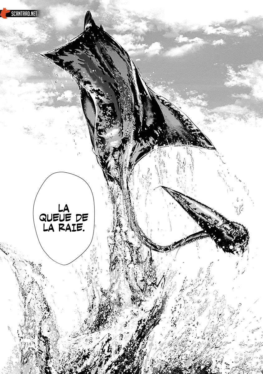 Batuque - 5 - 67d075d49604f.webp