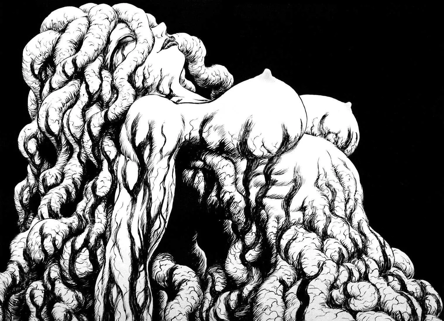 Berserk - 26 - 65524162b631c.webp