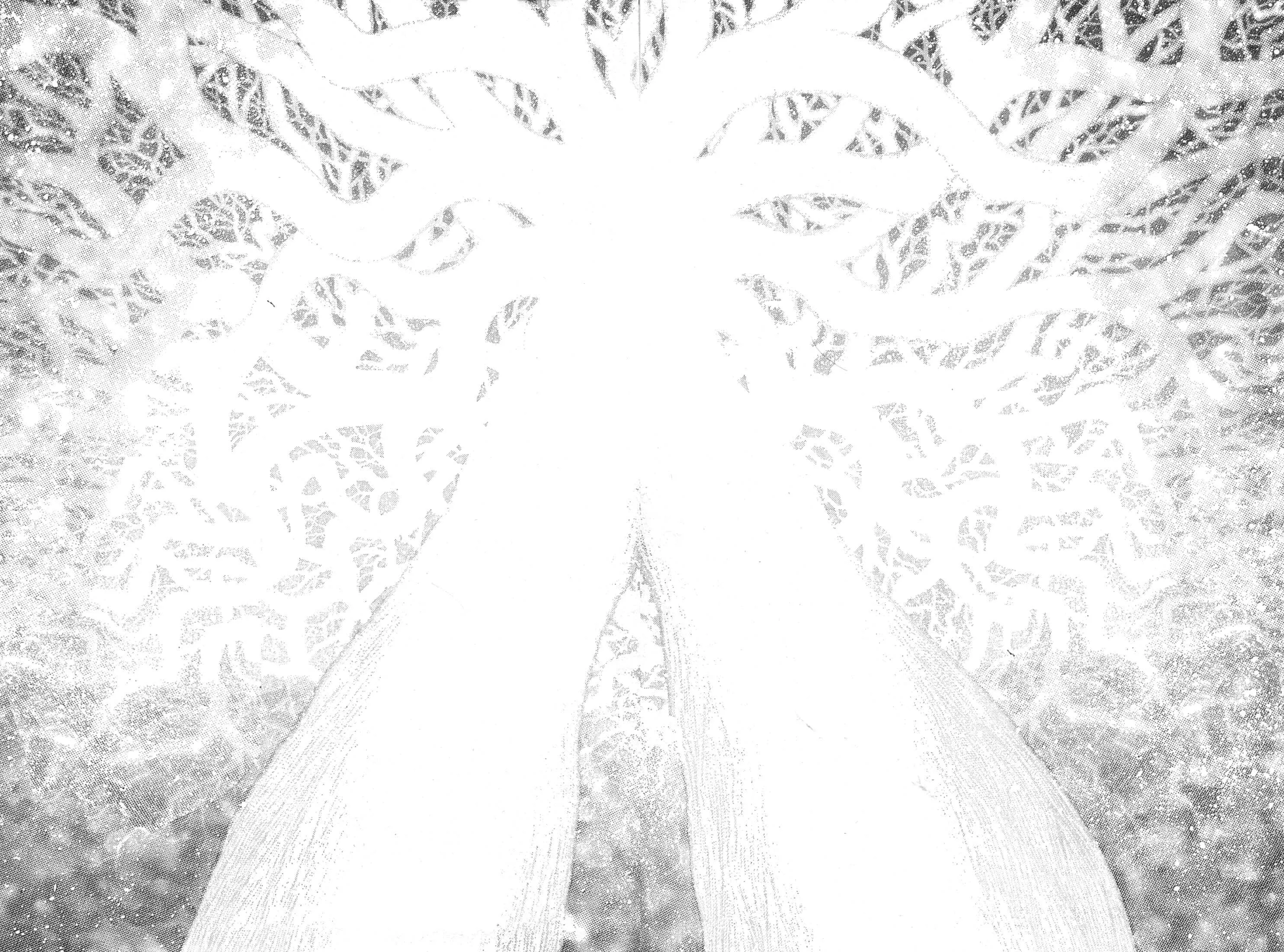 Berserk - 34 - 6552438f5c246.webp