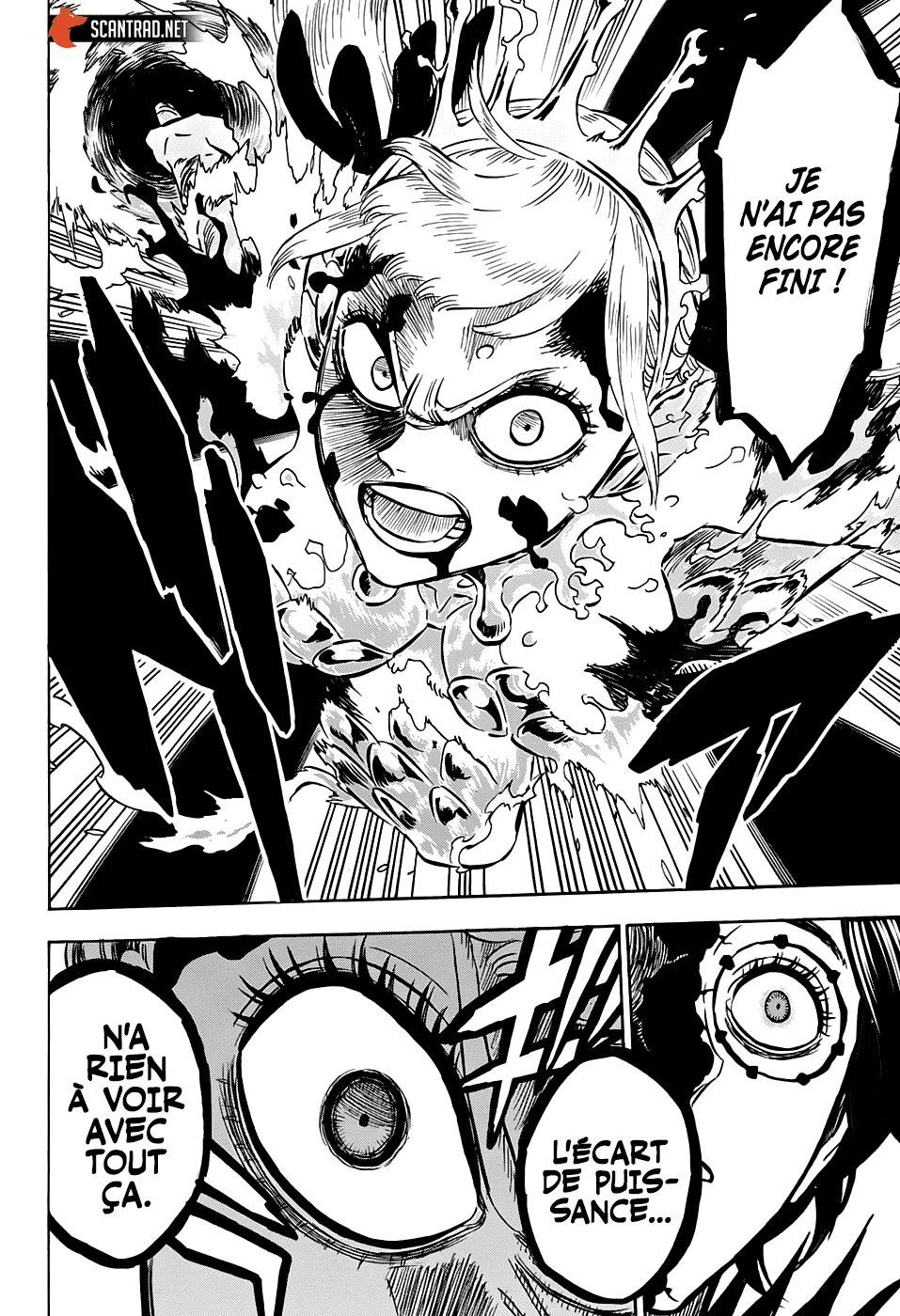 Black Clover - 254 - 65515bed91b5e.webp