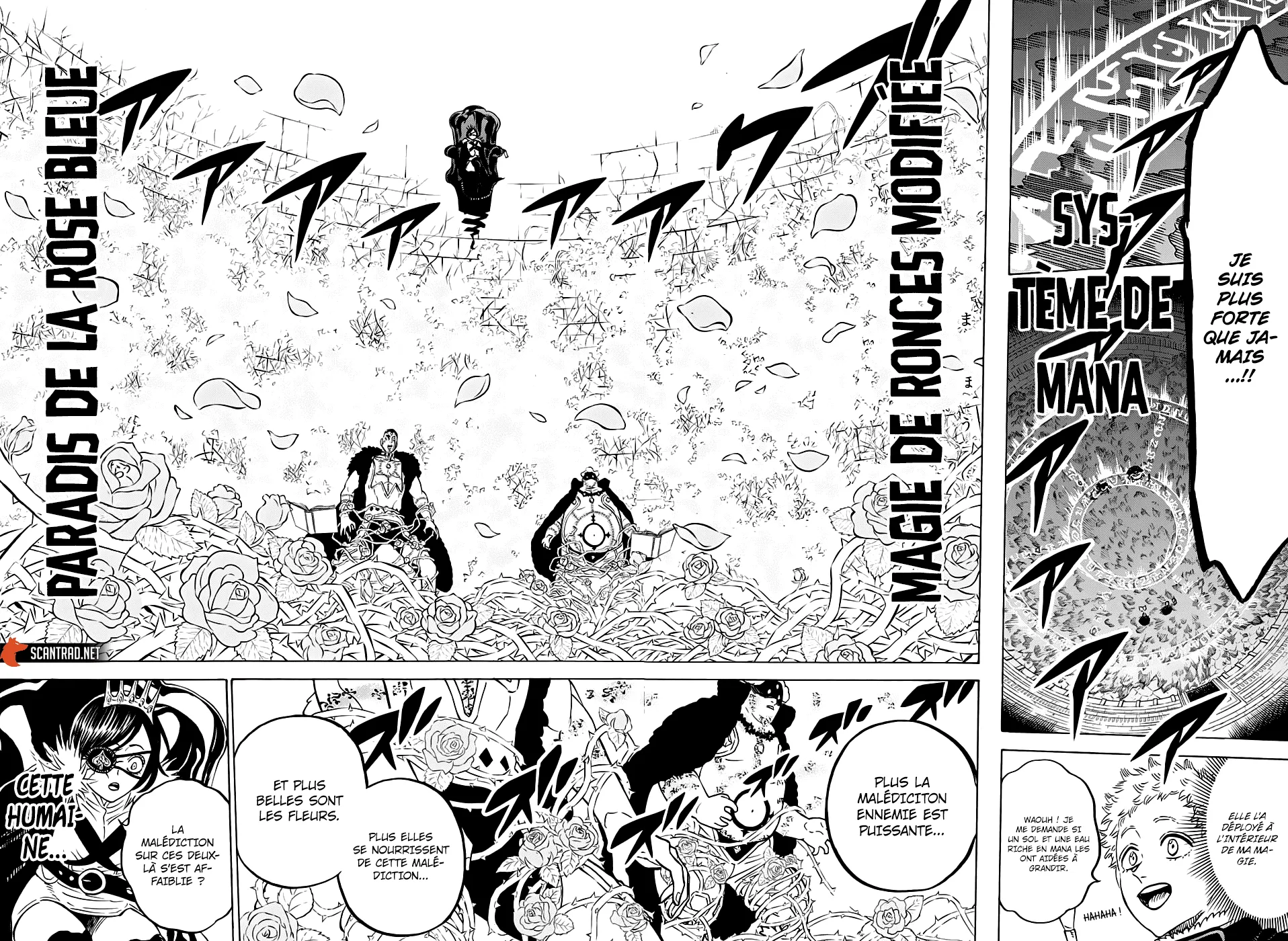 Black Clover - 277 - 65515c644b48d.webp