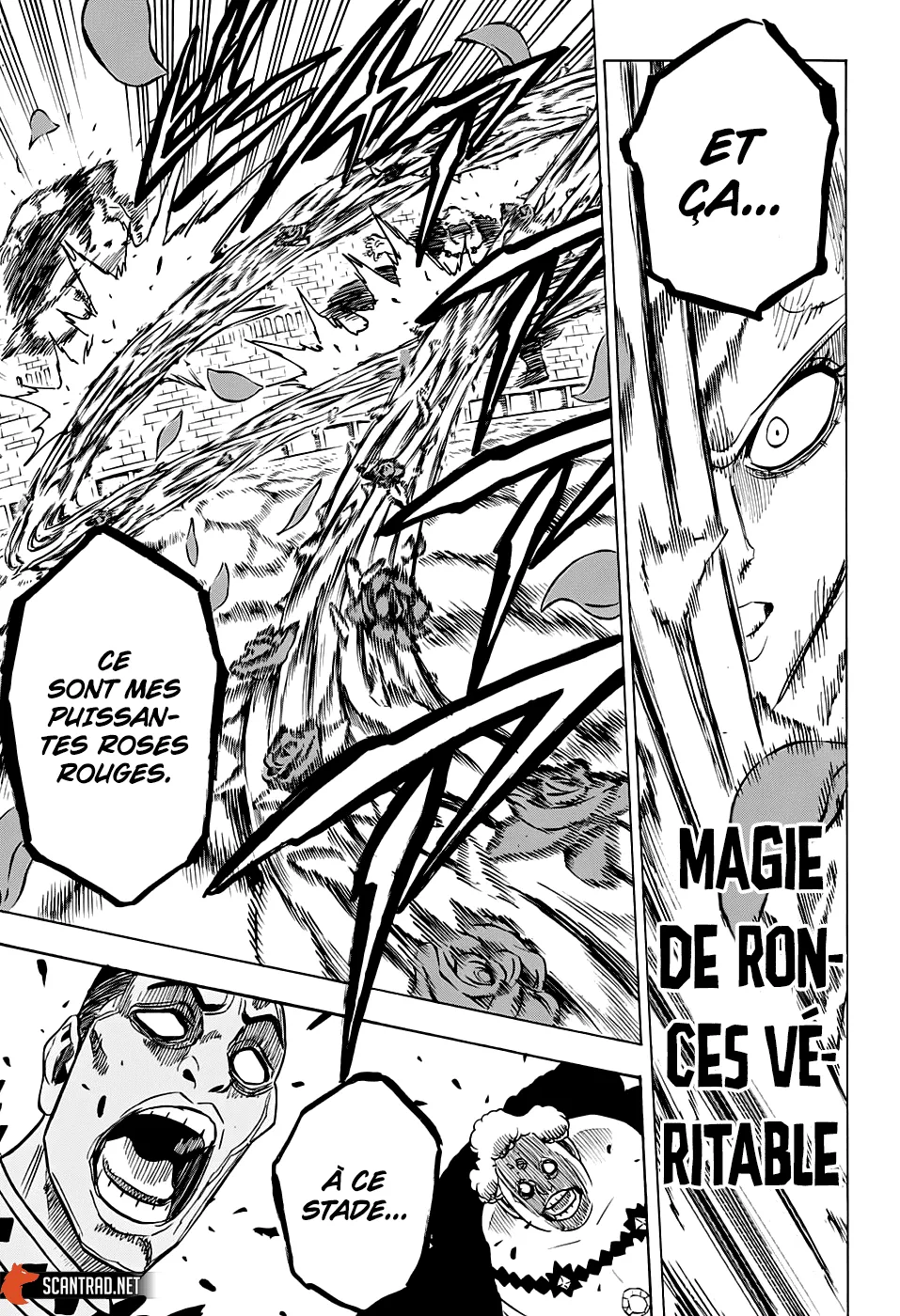 Black Clover - 277 - 65515c6541d19.webp