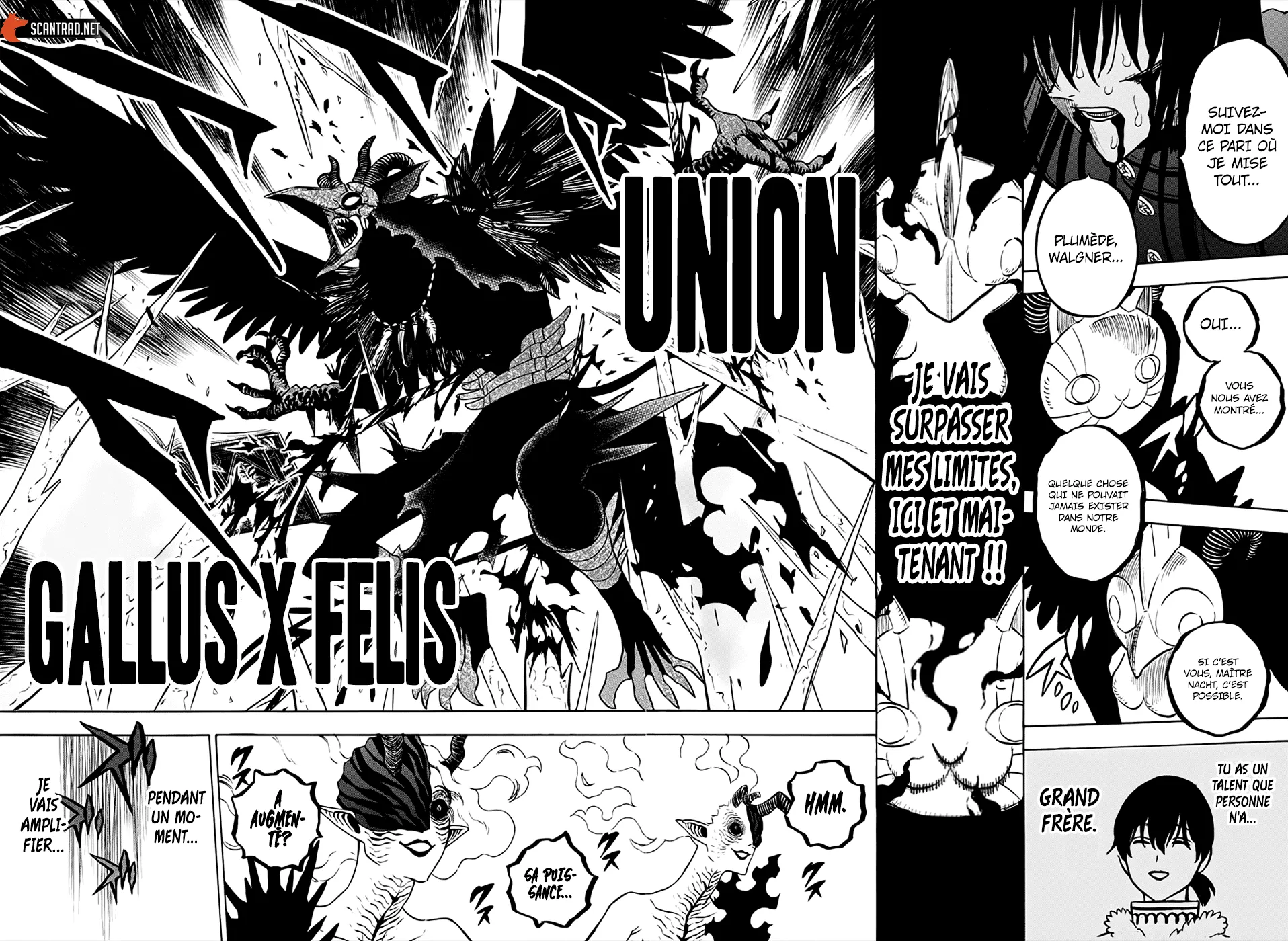 Black Clover - 287 - 65515ca33f2c6.webp