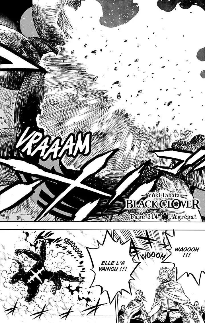 Black Clover - 314 - 65515d270d8d3.webp