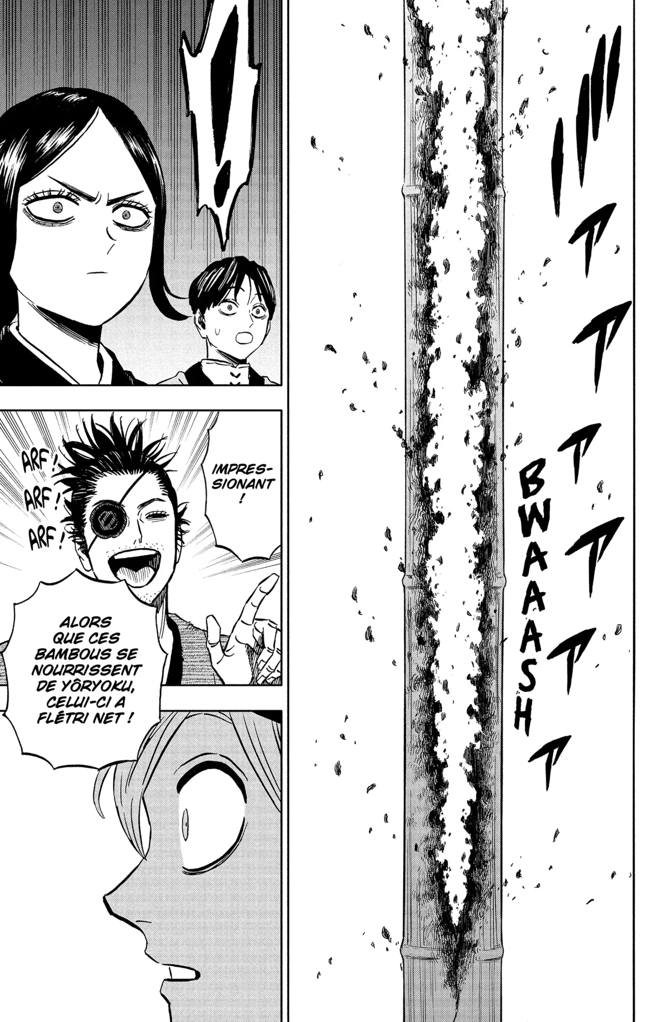 Black Clover - 339 - 65515dfedfd26.webp